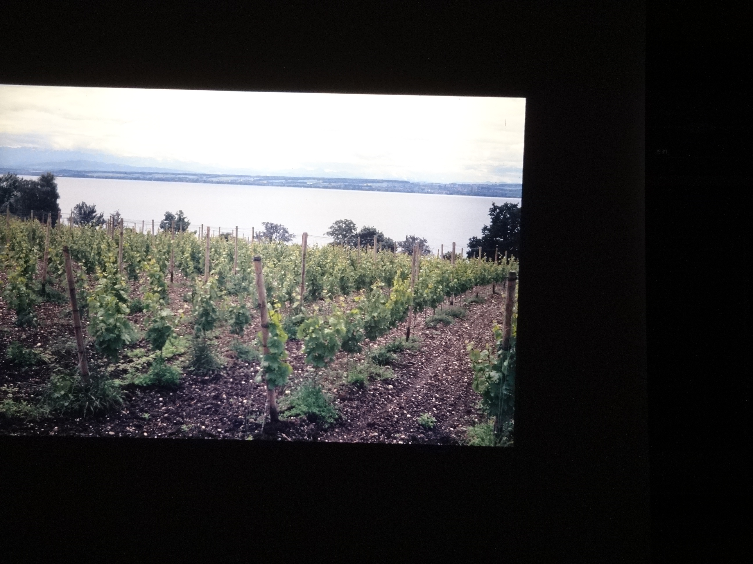 1990_kauns_suedtirol_brixefotos030___von_Ordner___1990_dias_kauns_suedtirol