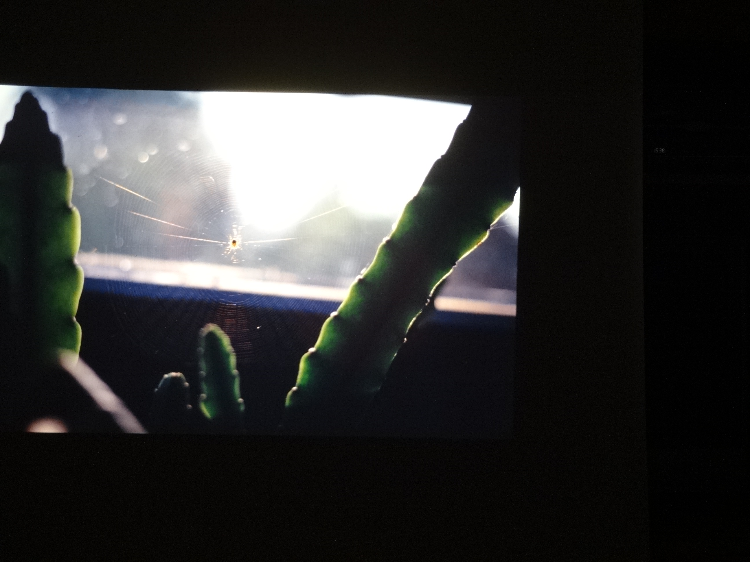 1990_kauns_suedtirol_brixefotos090___von_Ordner___1990_dias_kauns_suedtirol