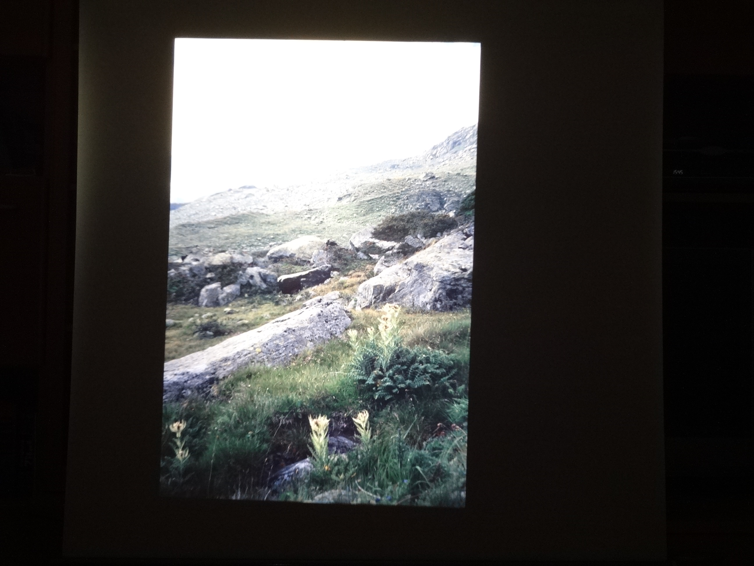 1990_kauns_suedtirol_thomasfotos040___von_Ordner___1990_dias_kauns_suedtirol