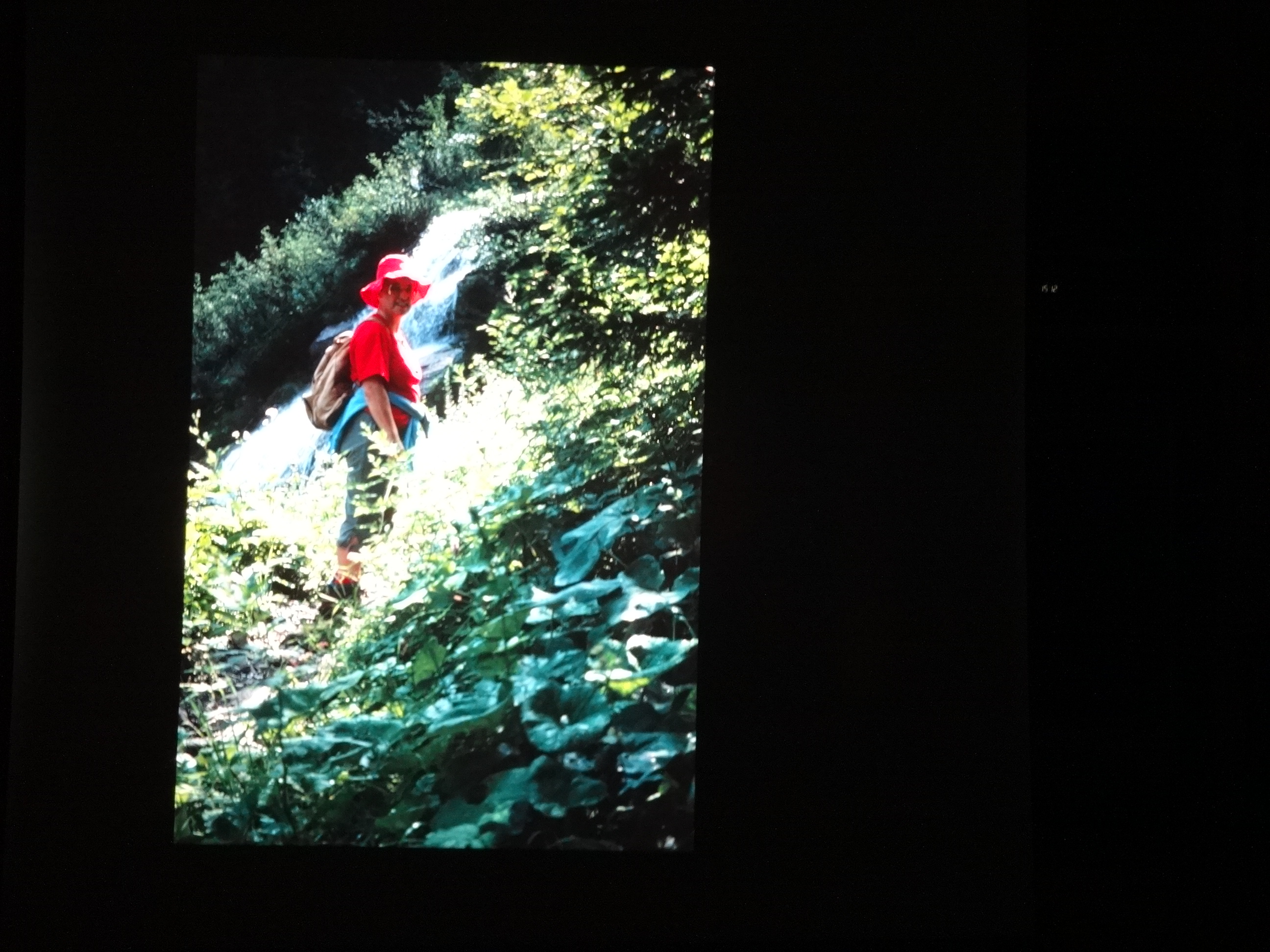 1991_020___von_Ordner___1991_dias_tschengla_bludenz