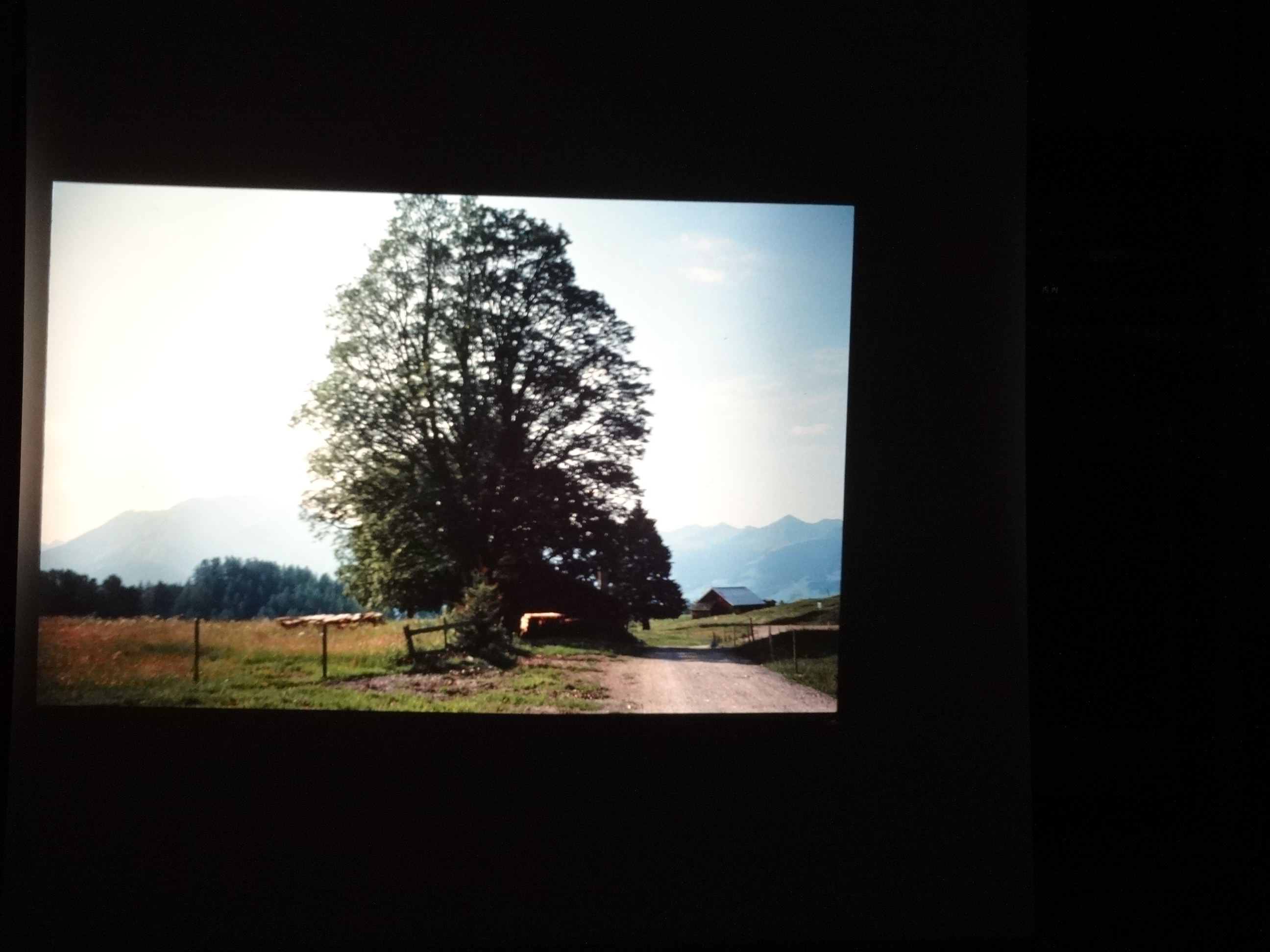 1991_090___von_Ordner___1991_dias_tschengla_bludenz