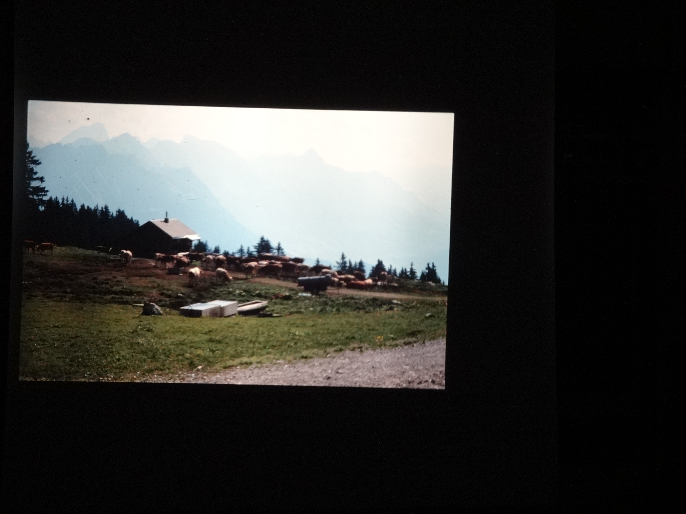 1991_100___von_Ordner___1991_dias_tschengla_bludenz