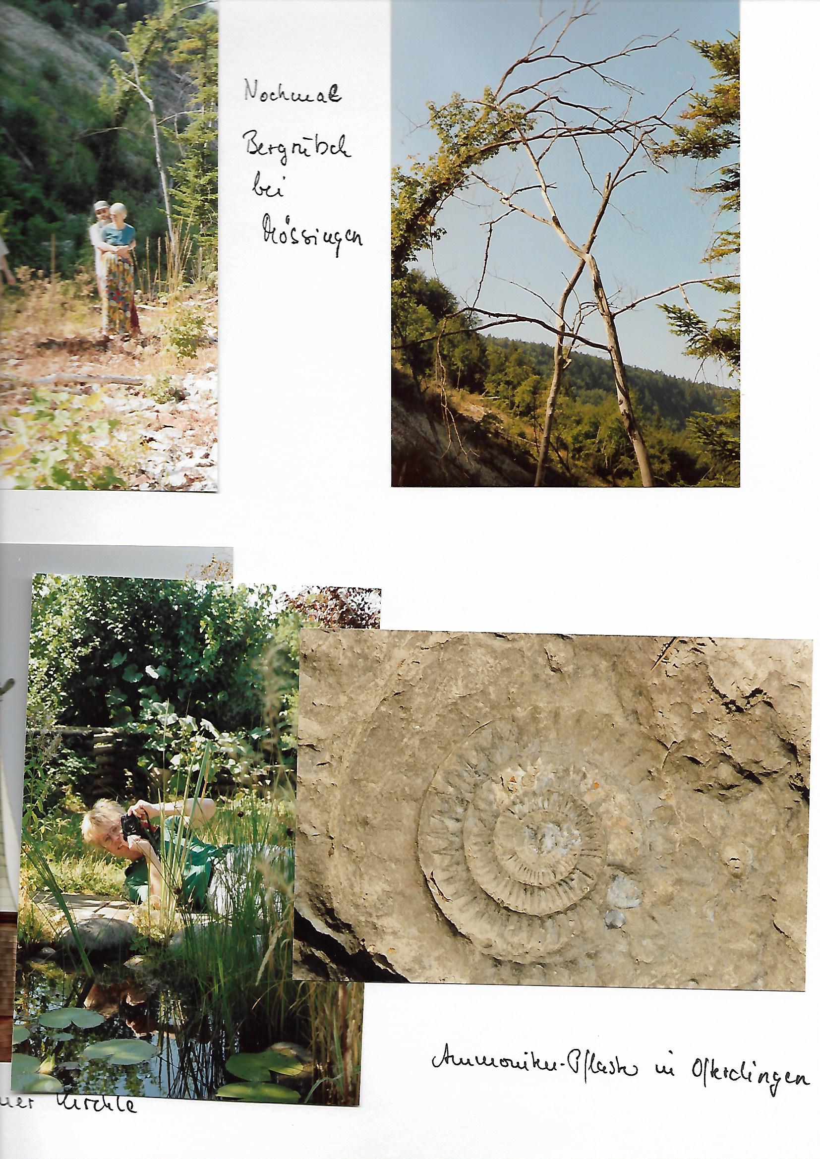 1991_160___von_Ordner___1989_1991