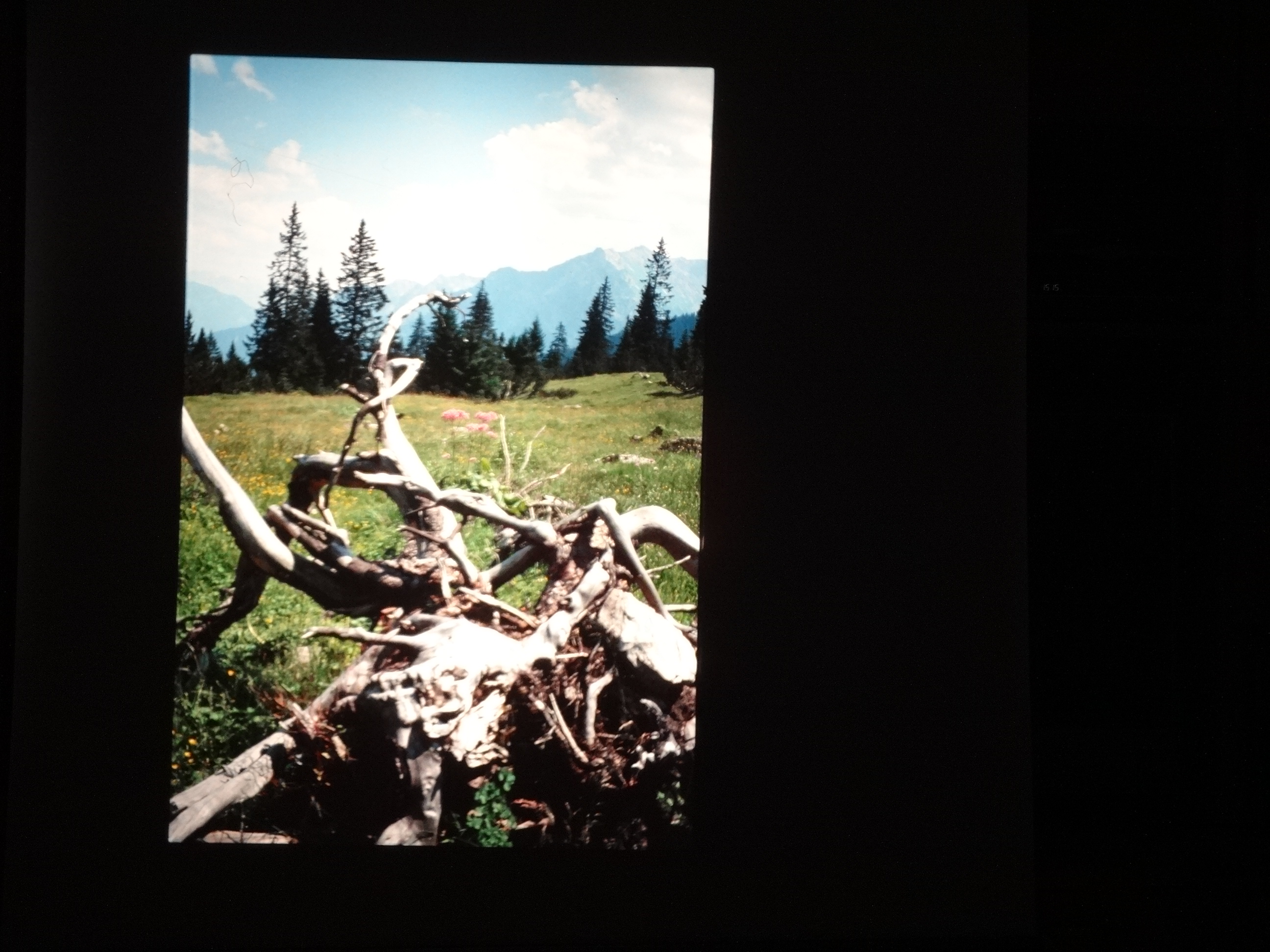 1991_160___von_Ordner___1991_dias_tschengla_bludenz