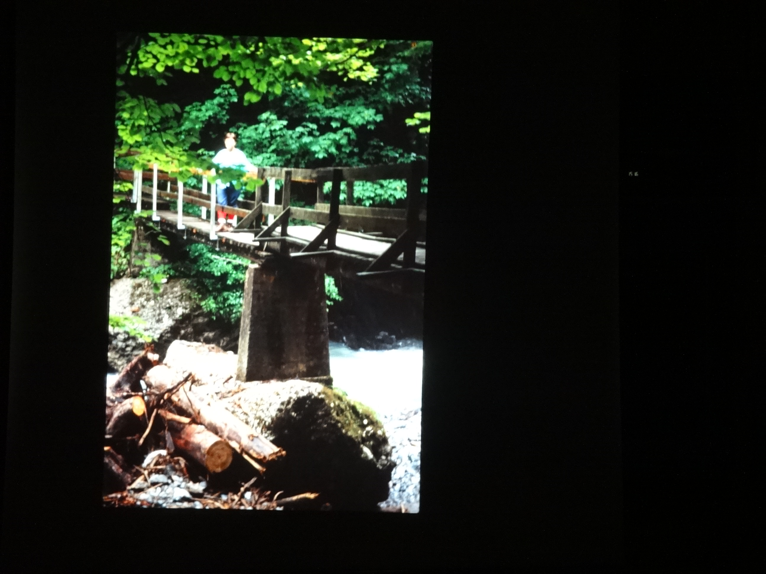 1991_220___von_Ordner___1991_dias_tschengla_bludenz