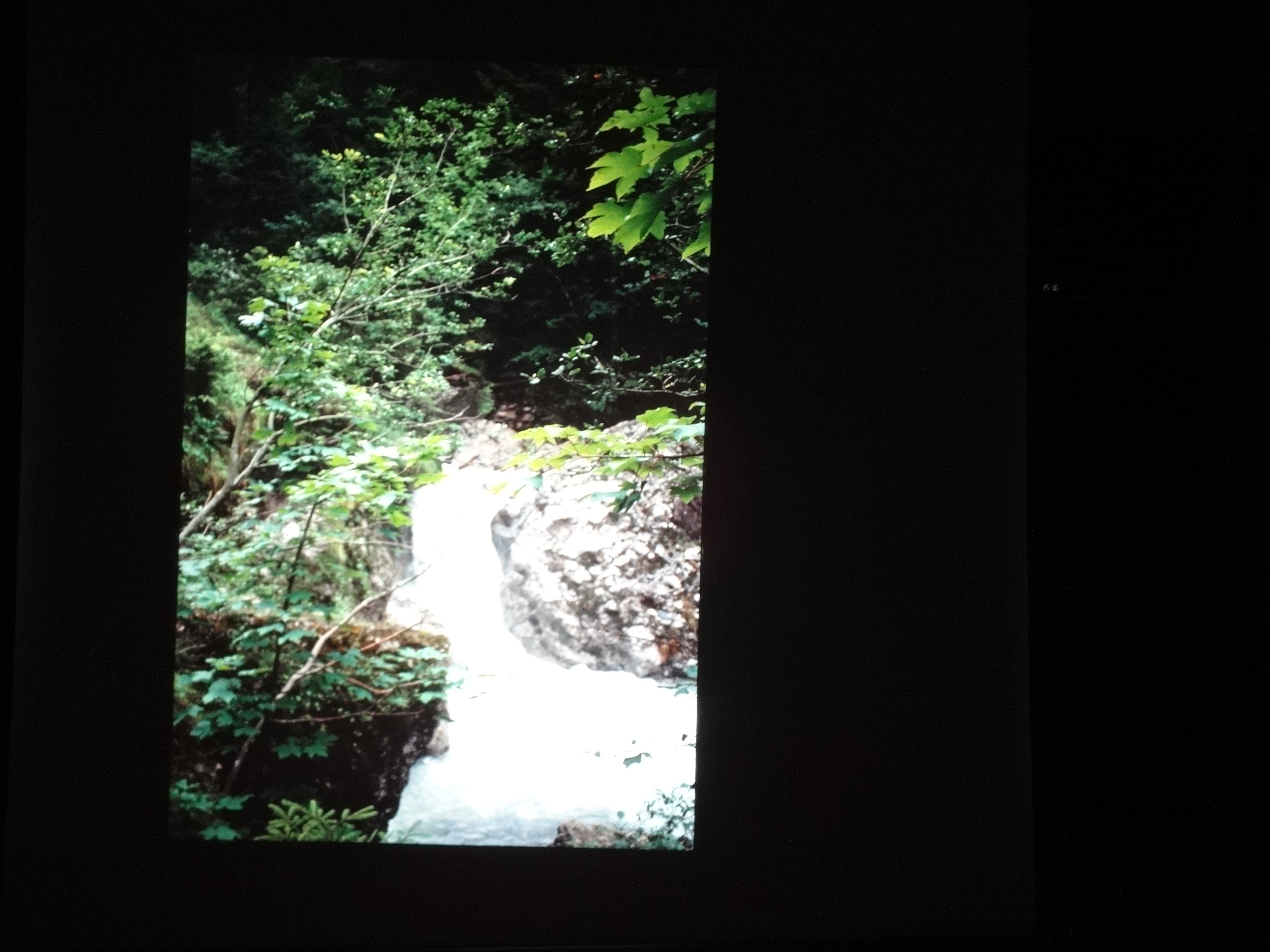 1991_240___von_Ordner___1991_dias_tschengla_bludenz