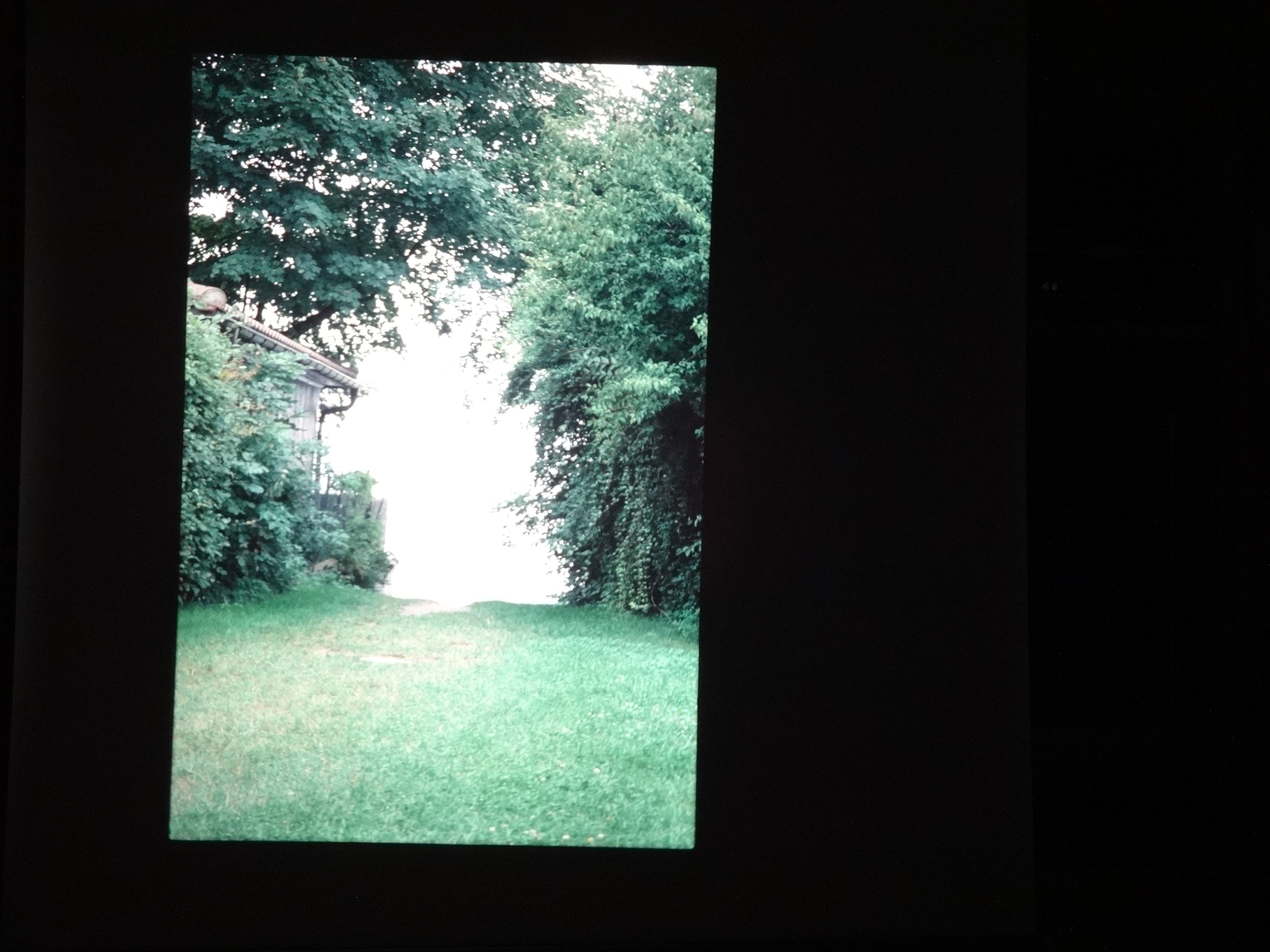 1991_250___von_Ordner___1991_dias_tschengla_bludenz