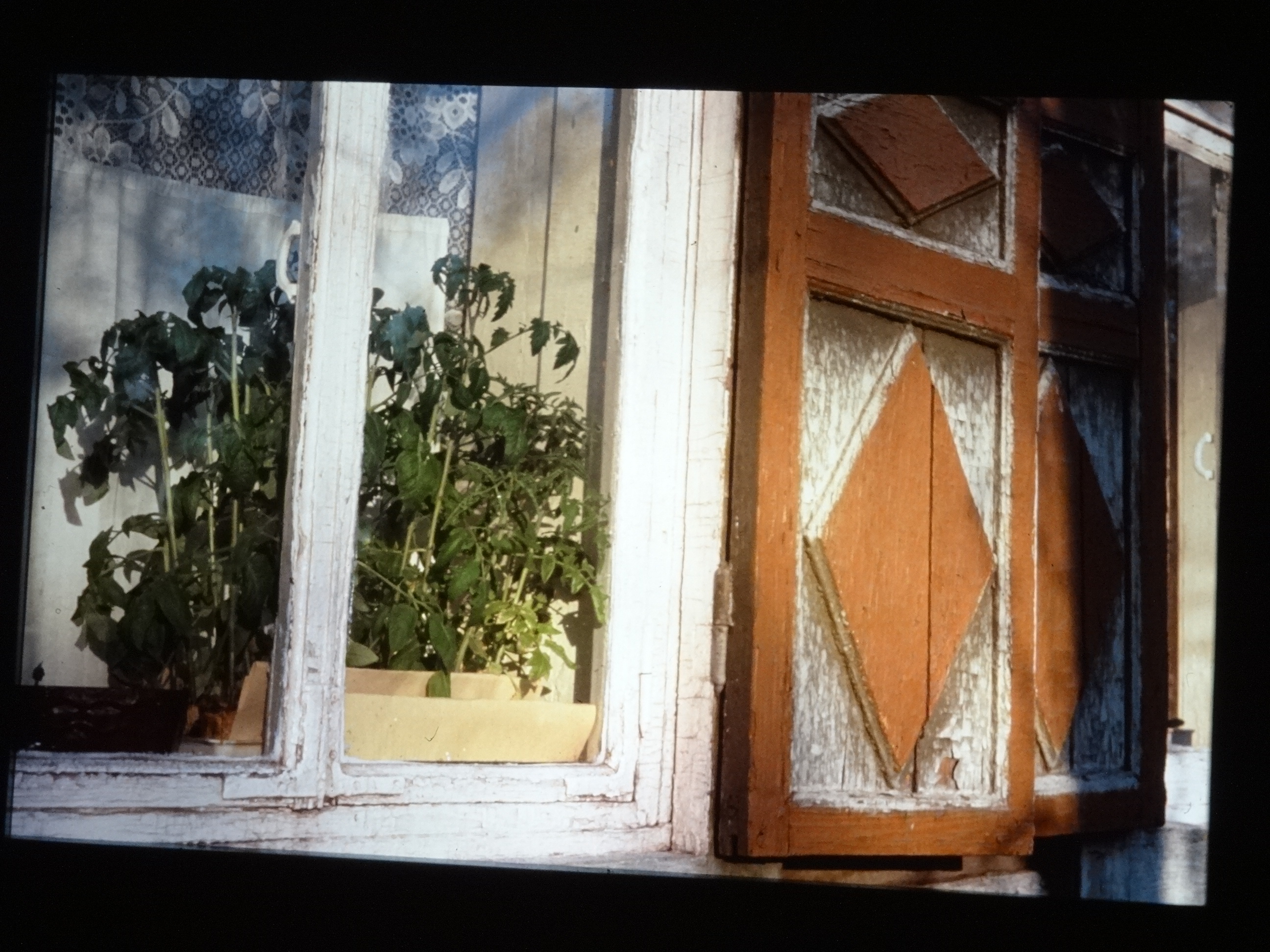 1991_sibirien010___von_Ordner___1991pfingsten_brixe_sibirien