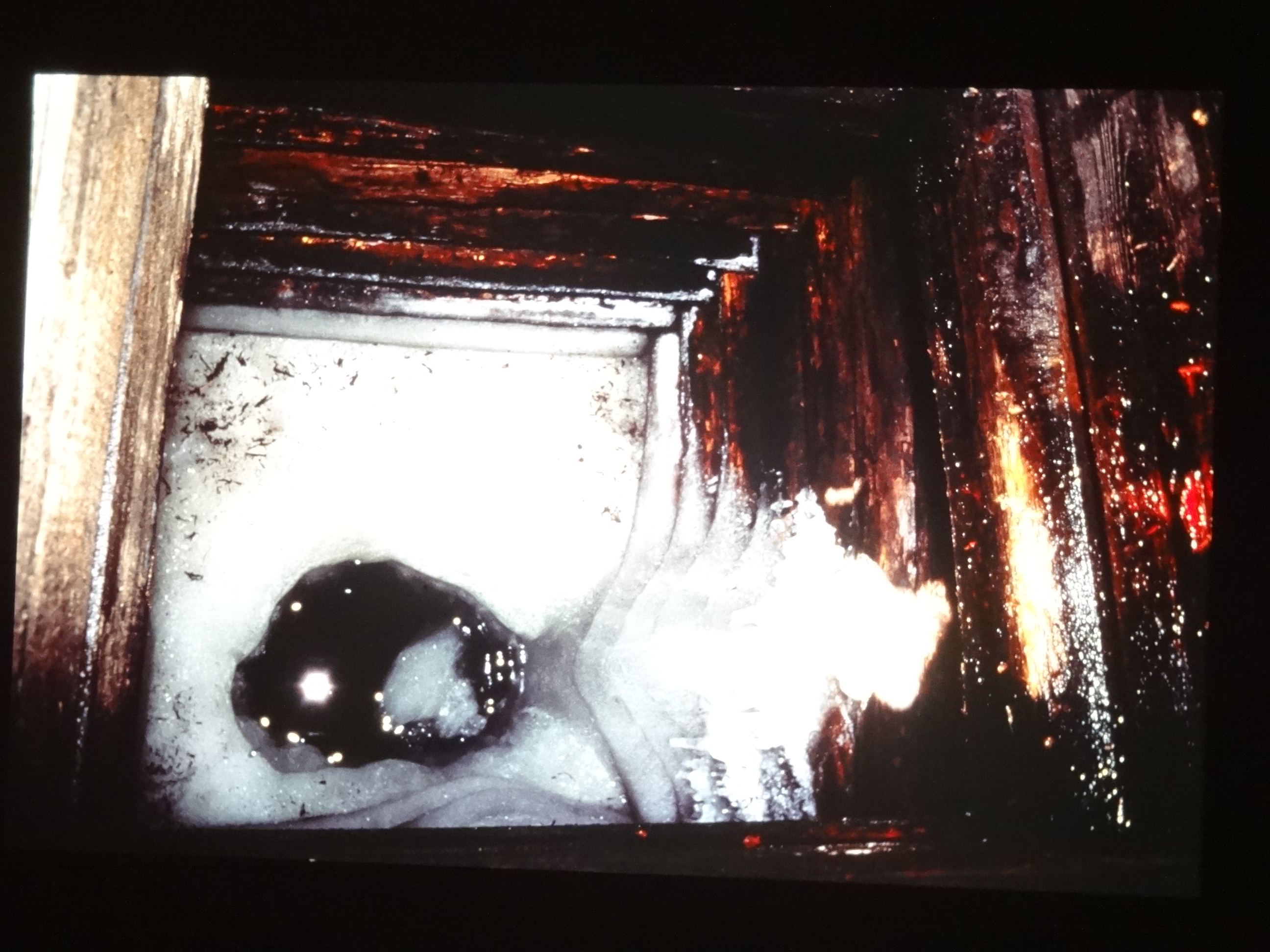 1991_sibirien150___von_Ordner___1991pfingsten_brixe_sibirien