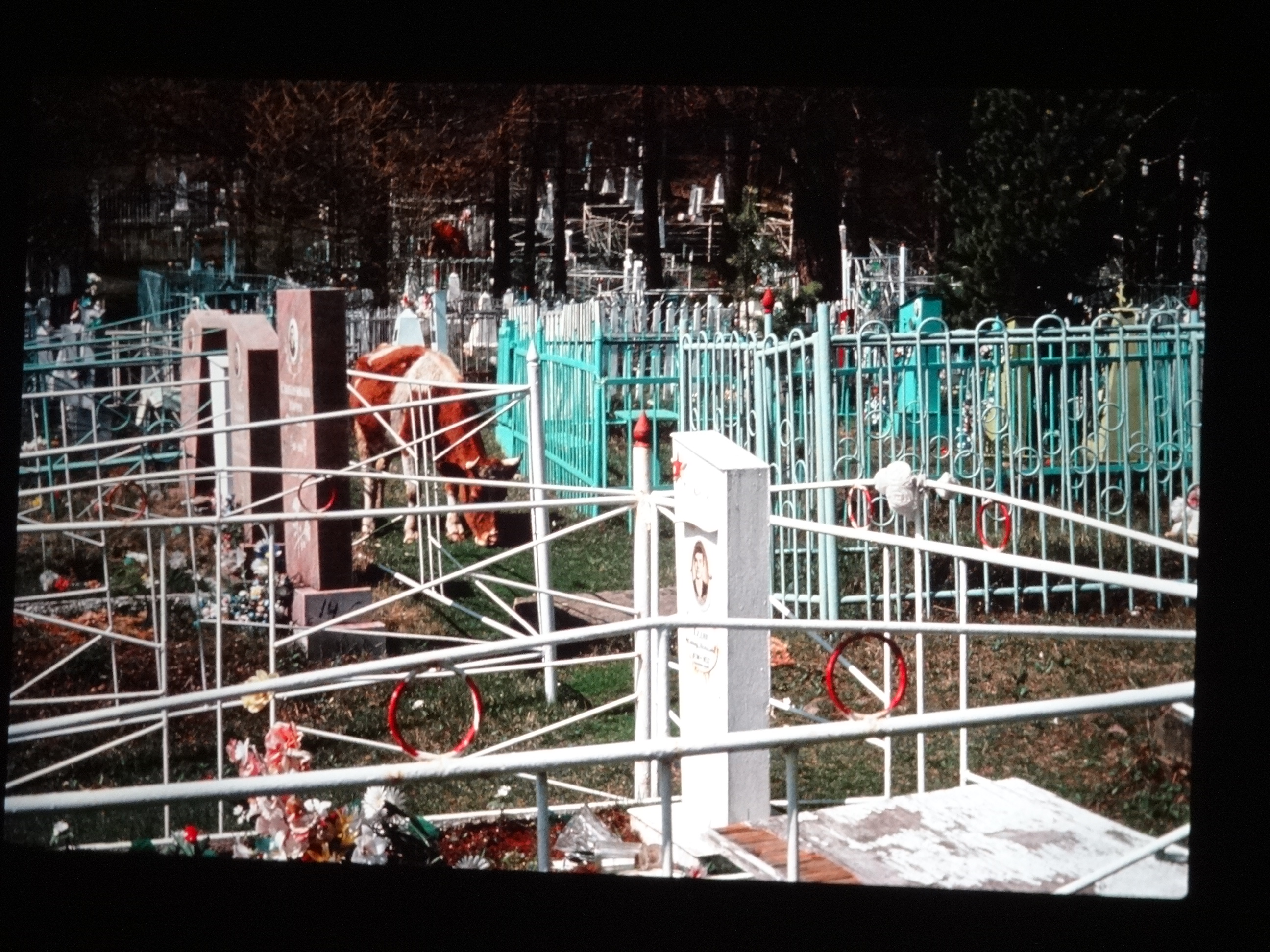 1991_sibirien230___von_Ordner___1991pfingsten_brixe_sibirien