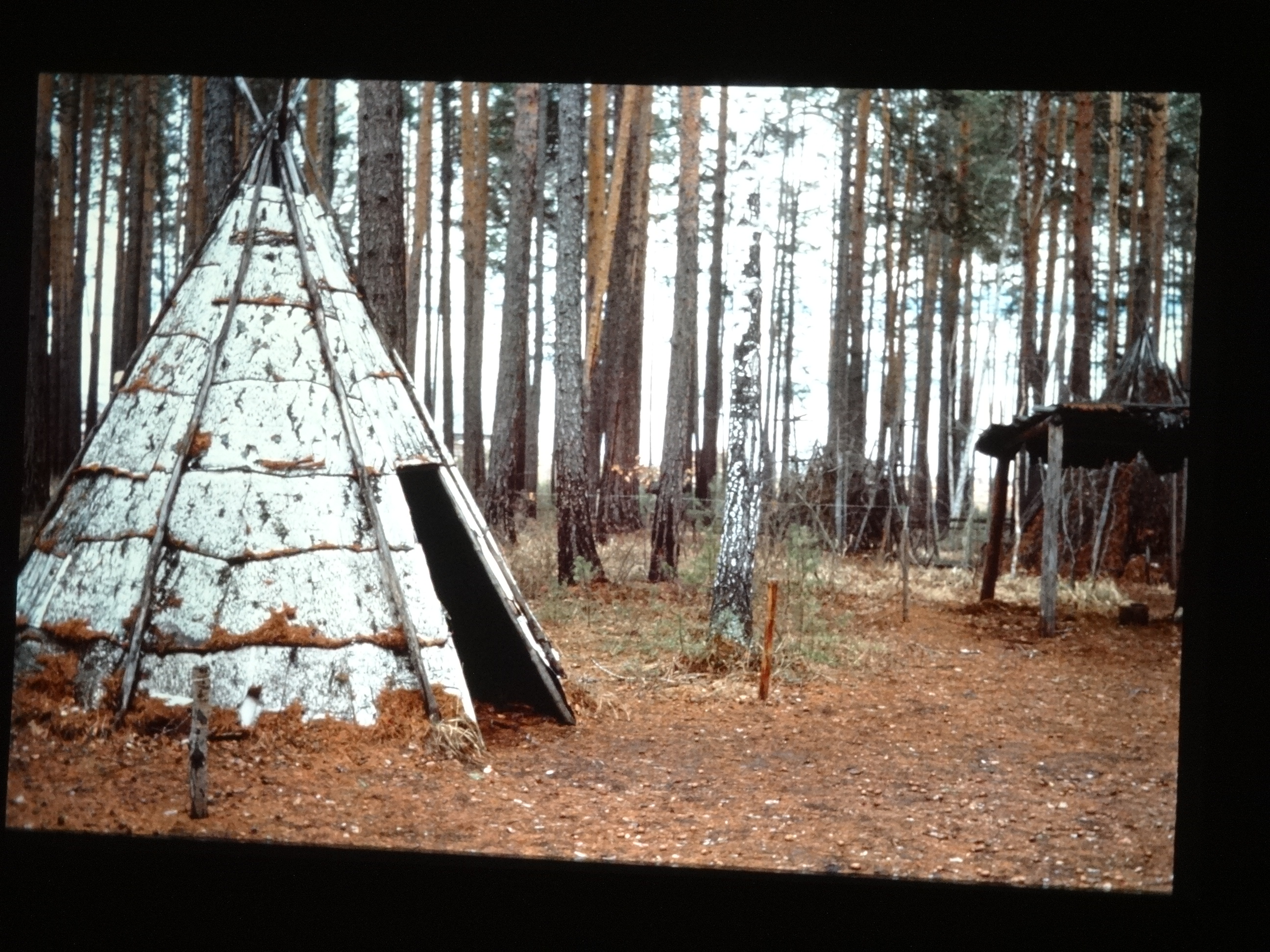 1991_sibirien320___von_Ordner___1991pfingsten_brixe_sibirien