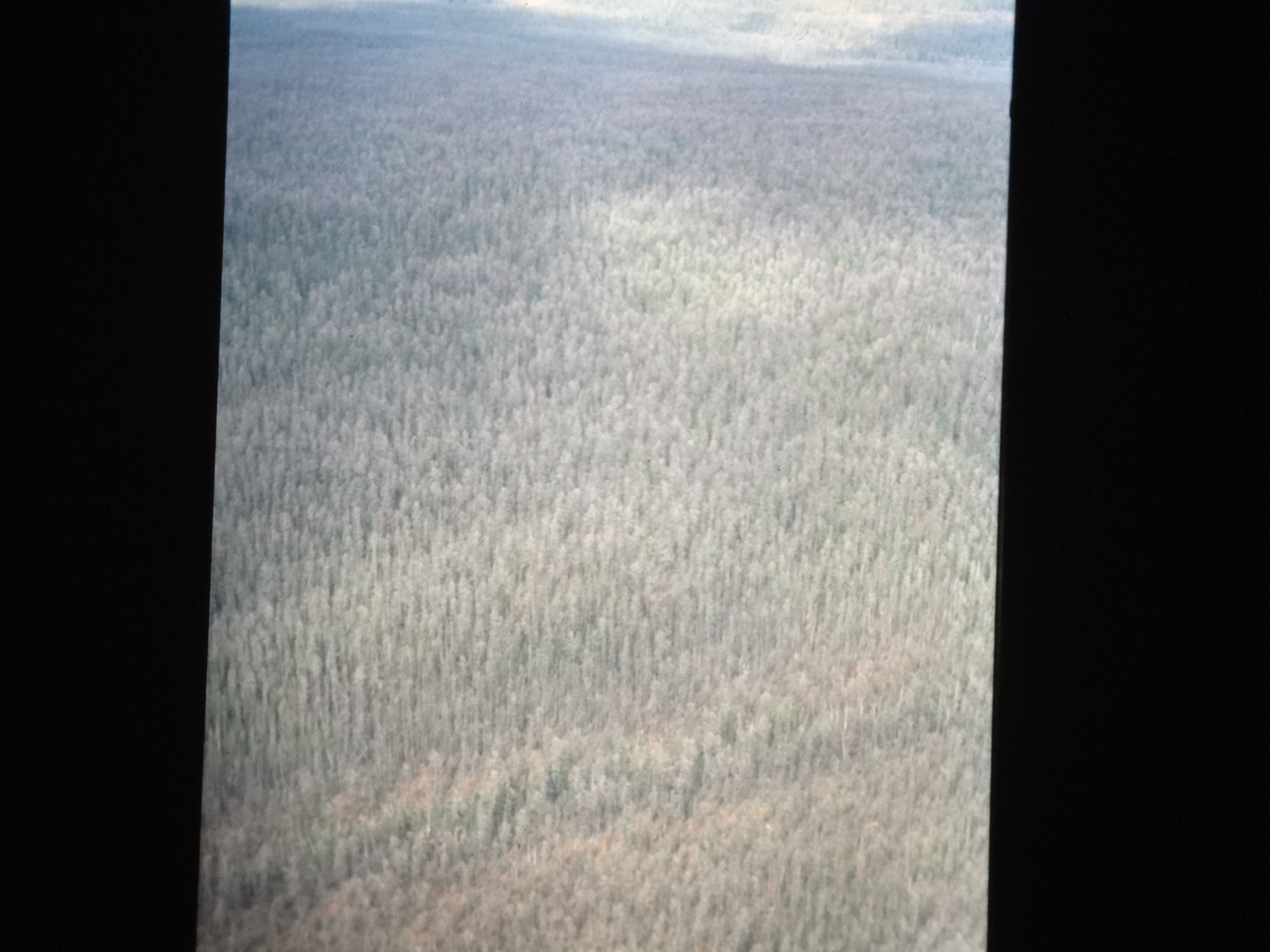 1991_sibirien360___von_Ordner___1991pfingsten_brixe_sibirien