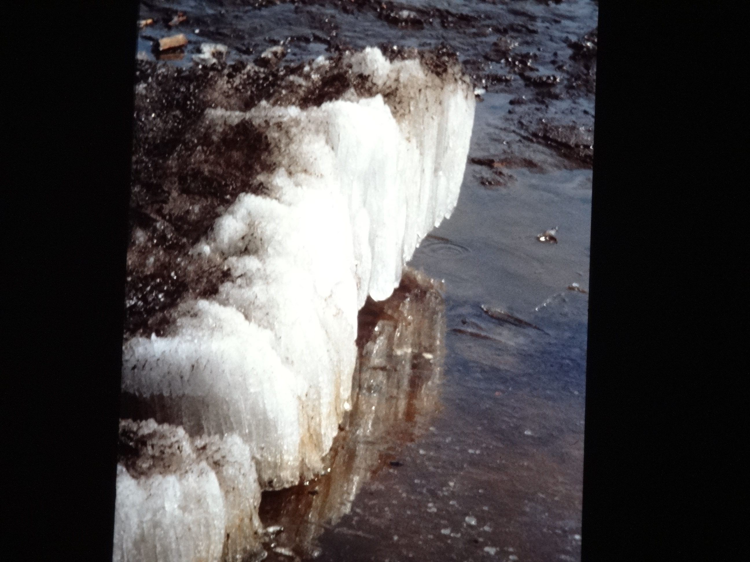 1991_sibirien450___von_Ordner___1991pfingsten_brixe_sibirien