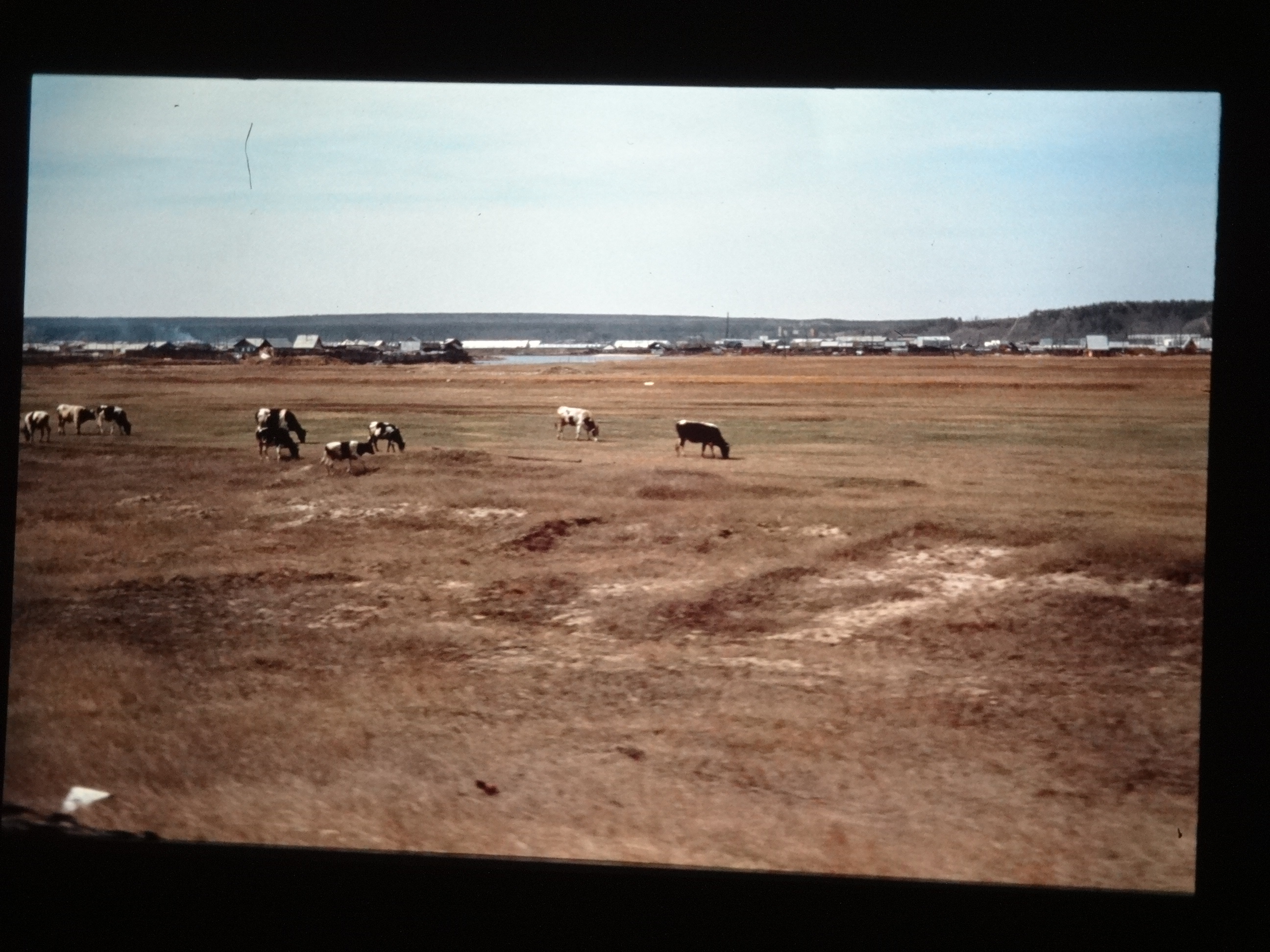 1991_sibirien490___von_Ordner___1991pfingsten_brixe_sibirien