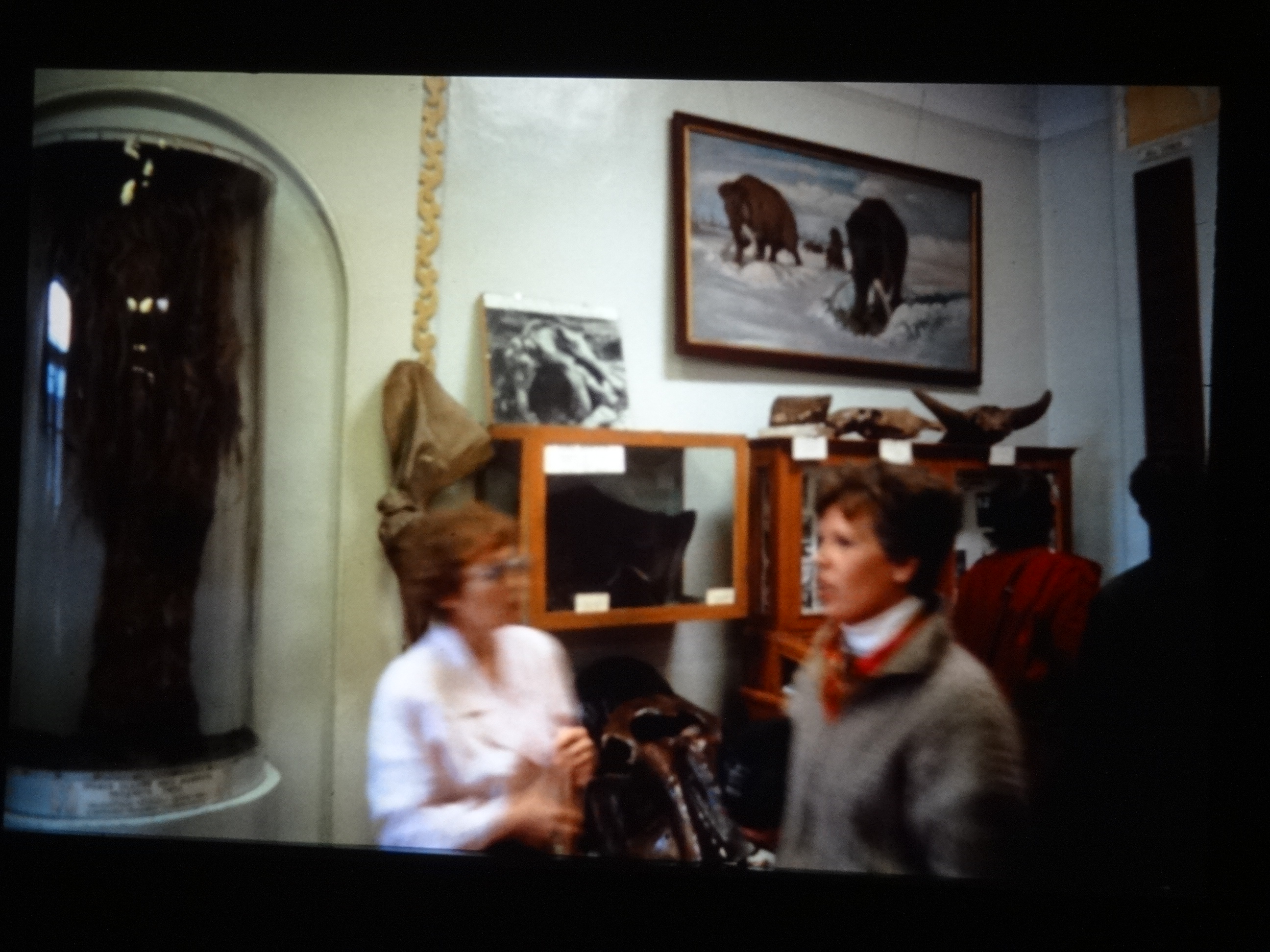 1991_sibirien500___von_Ordner___1991pfingsten_brixe_sibirien