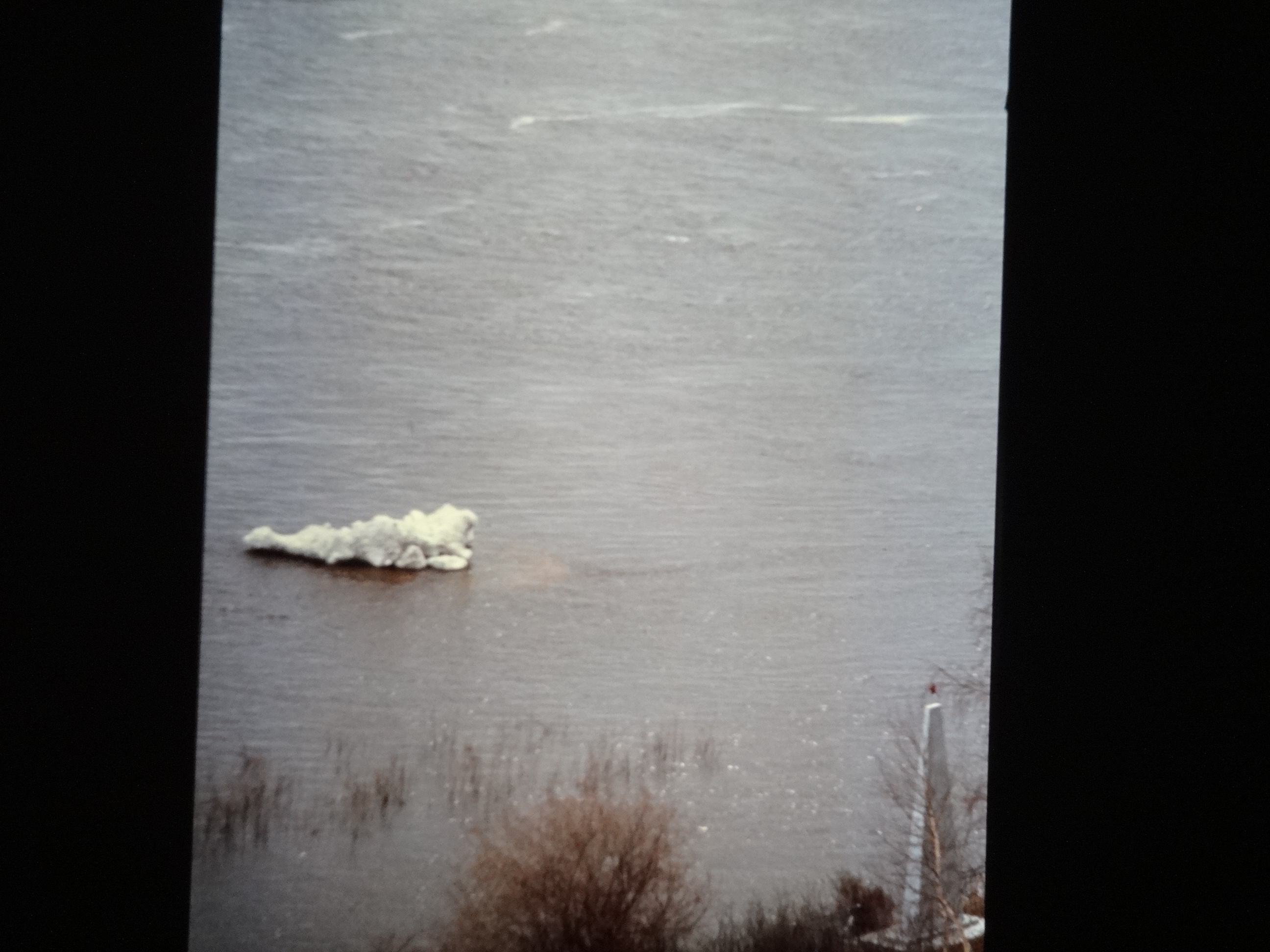 1991_sibirien540___von_Ordner___1991pfingsten_brixe_sibirien