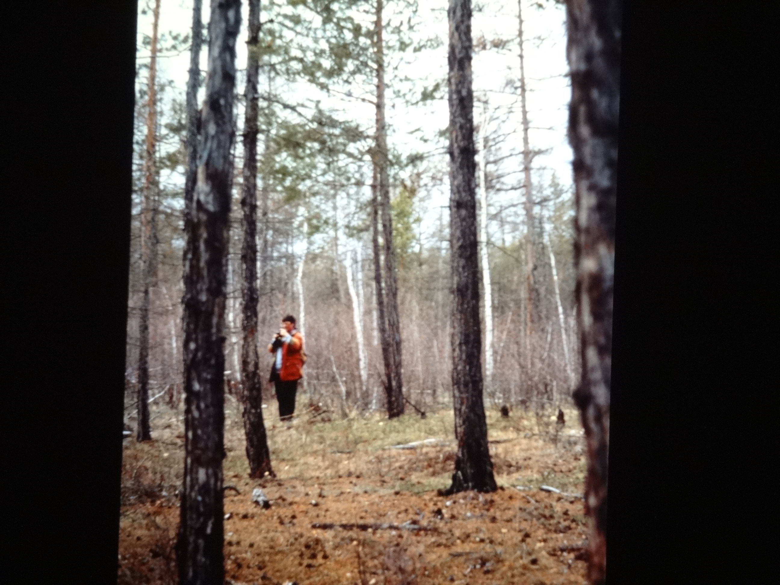 1991_sibirien550___von_Ordner___1991pfingsten_brixe_sibirien