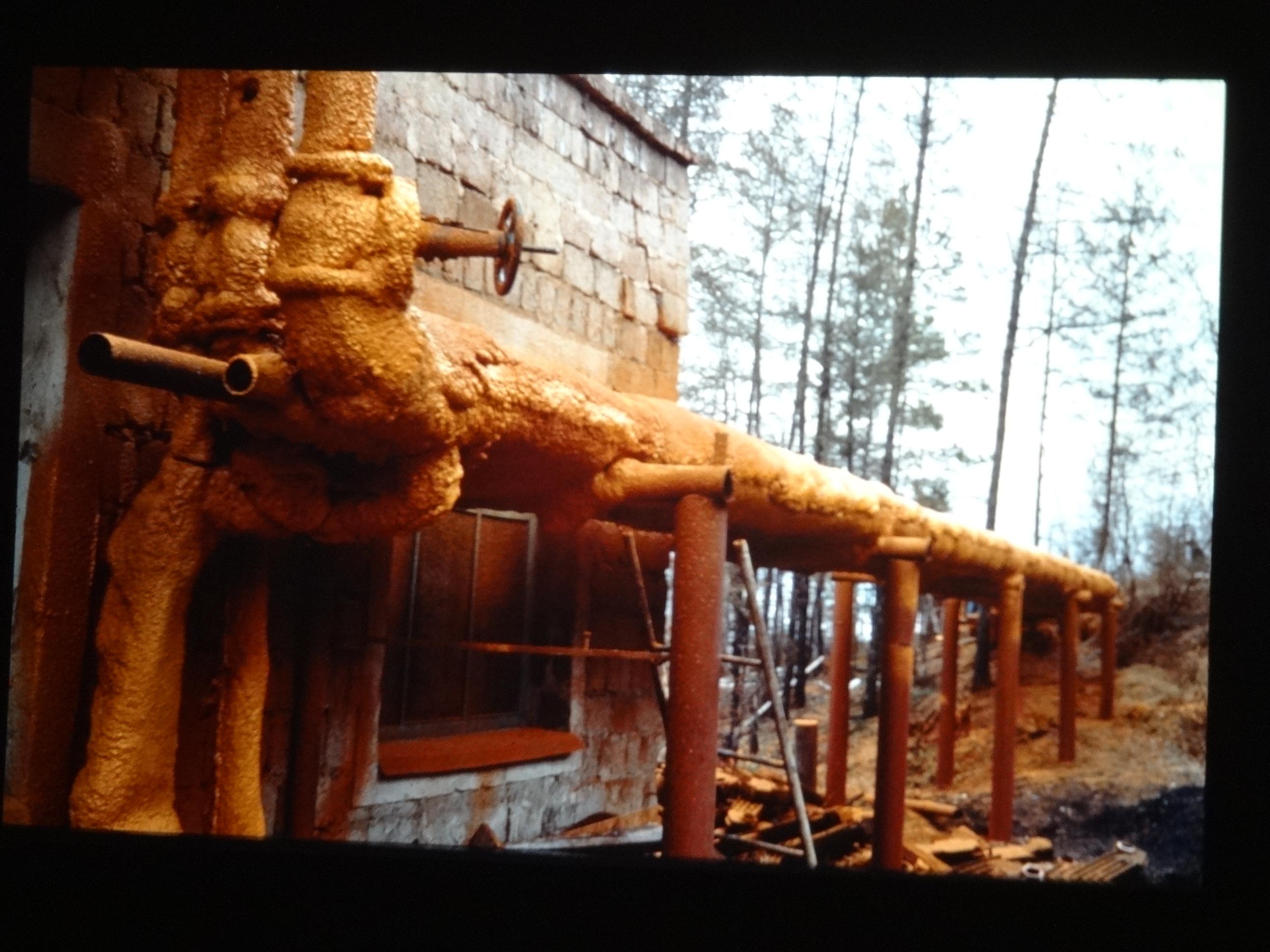 1991_sibirien570___von_Ordner___1991pfingsten_brixe_sibirien