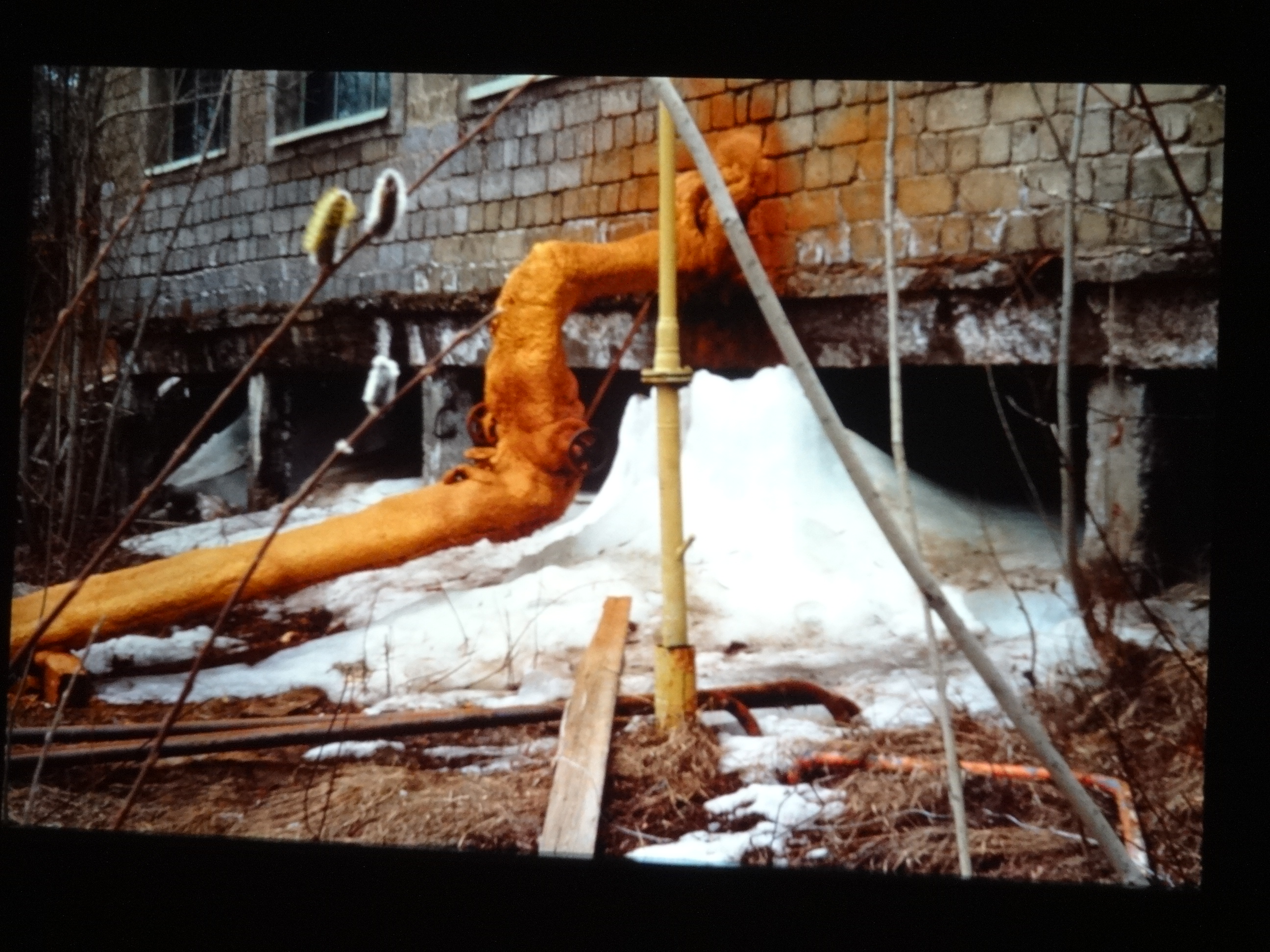 1991_sibirien580___von_Ordner___1991pfingsten_brixe_sibirien