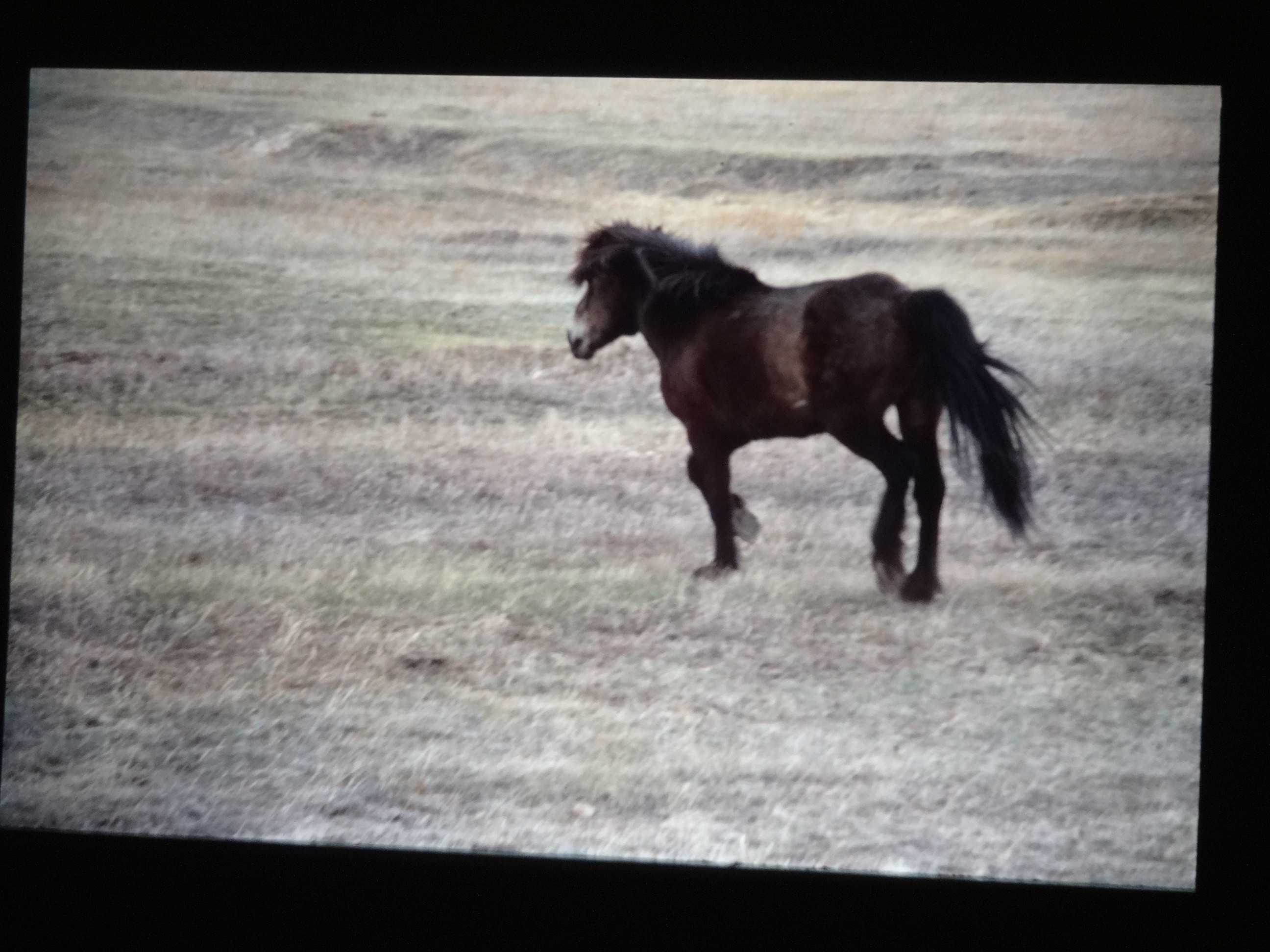 1991_sibirien610___von_Ordner___1991pfingsten_brixe_sibirien