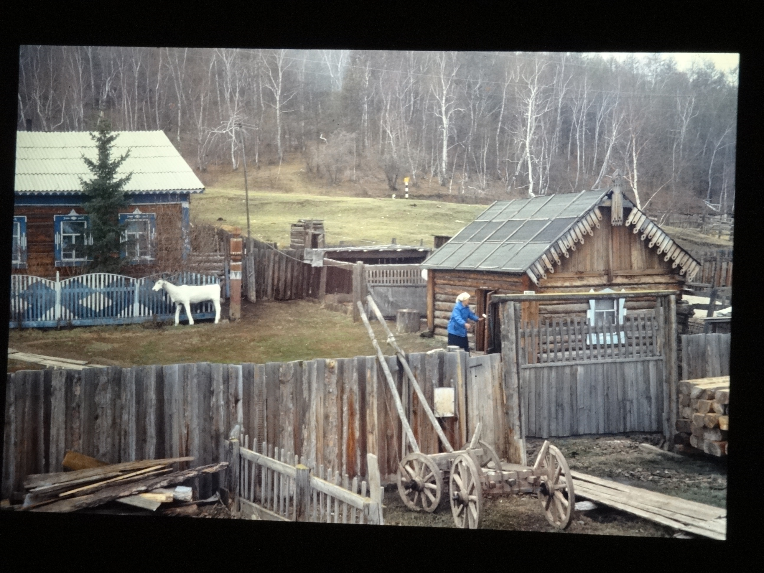 1991_sibirien660___von_Ordner___1991pfingsten_brixe_sibirien