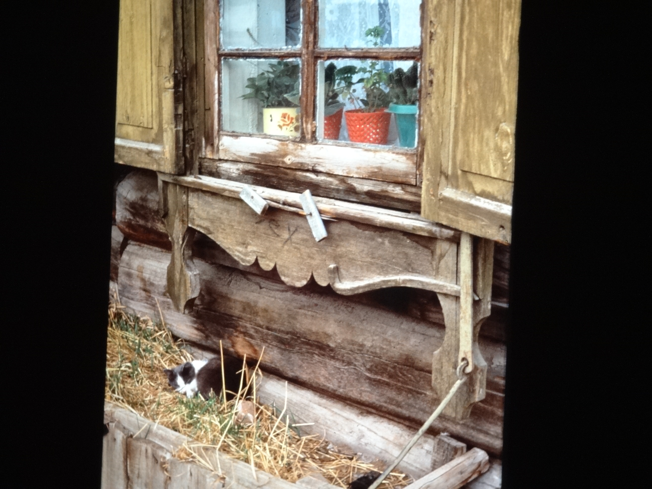 1991_sibirien720___von_Ordner___1991pfingsten_brixe_sibirien