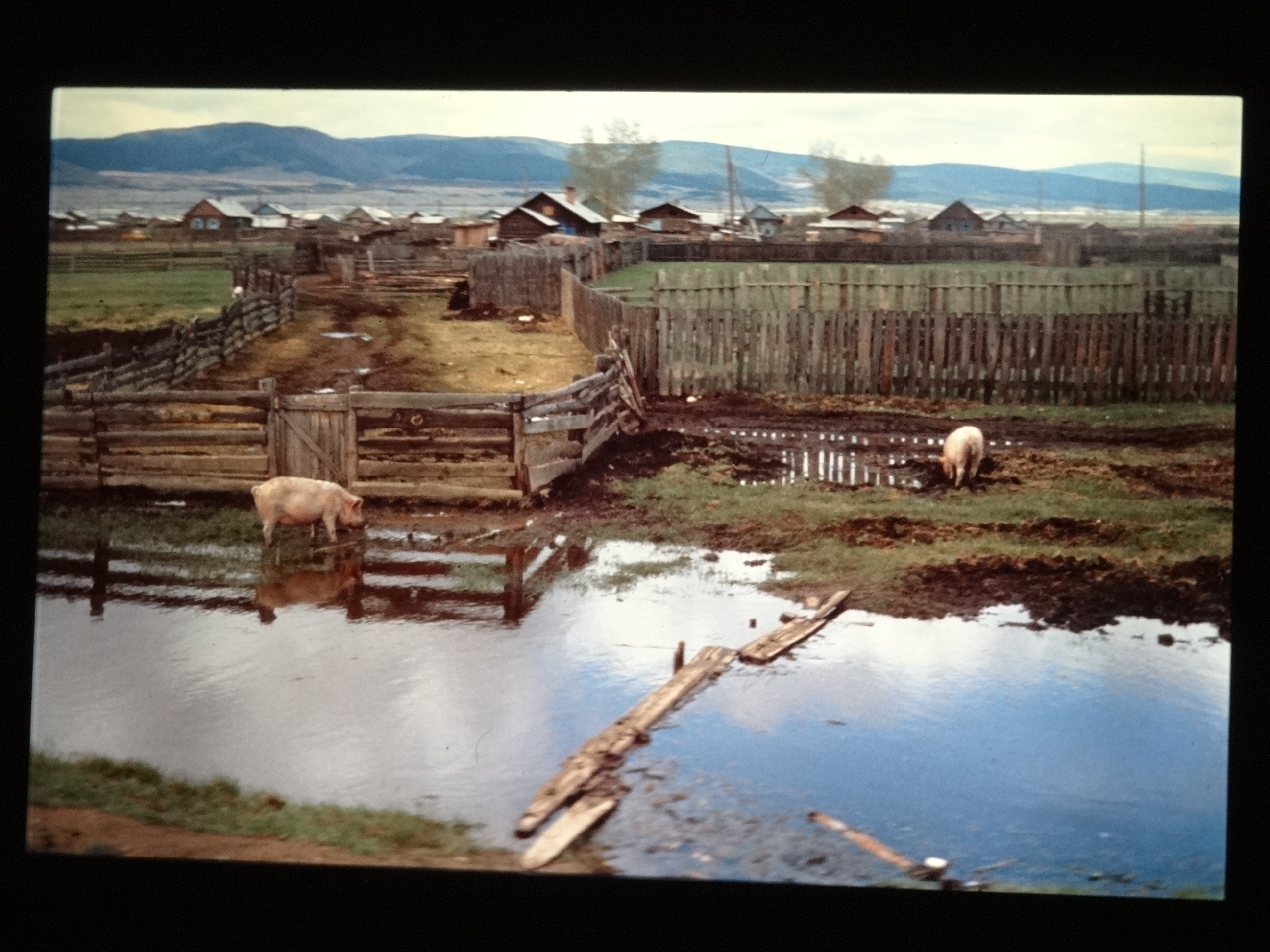 1991_sibirien940___von_Ordner___1991pfingsten_brixe_sibirien