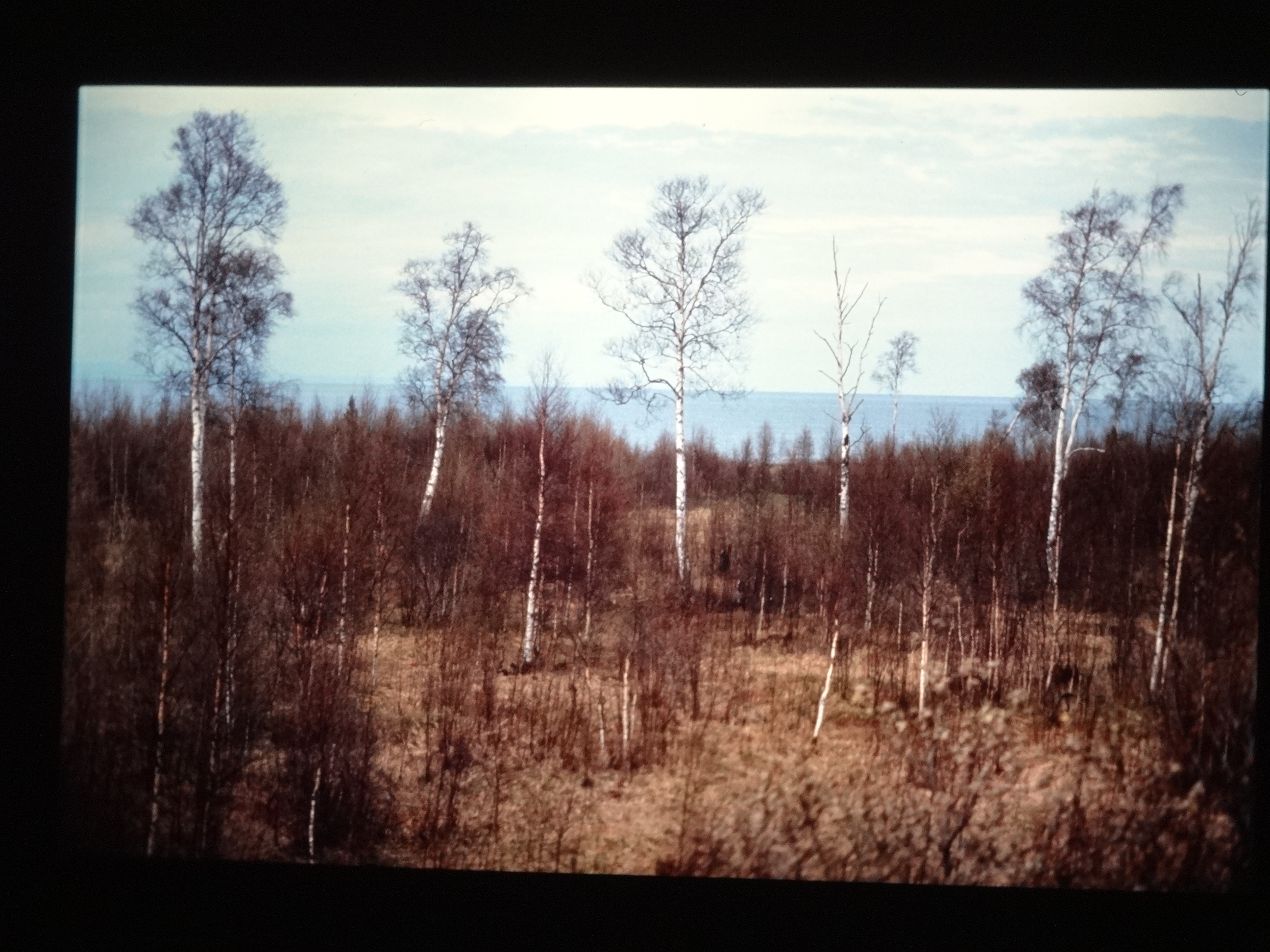 1991_sibirien960___von_Ordner___1991pfingsten_brixe_sibirien