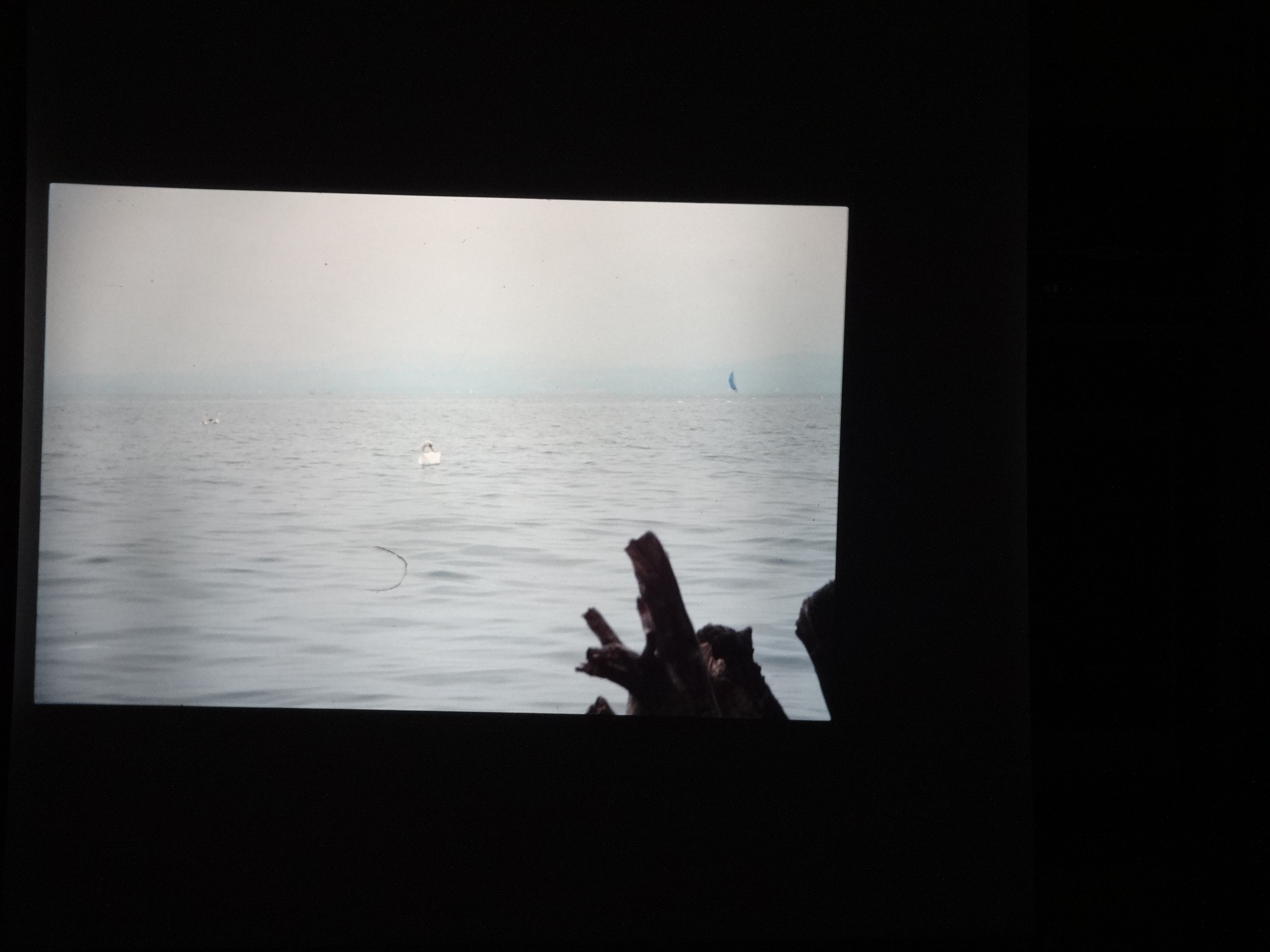 1991_transib_010___von_Ordner___1991_dias_pfingsten_brixe_sibirien