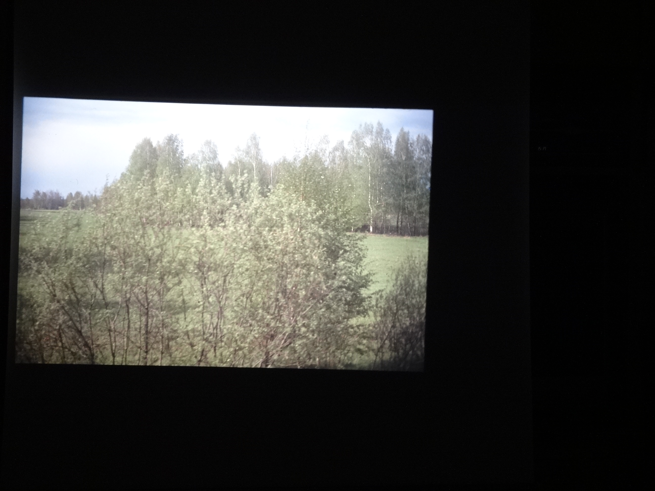 1991_transib_100___von_Ordner___1991_dias_pfingsten_brixe_sibirien