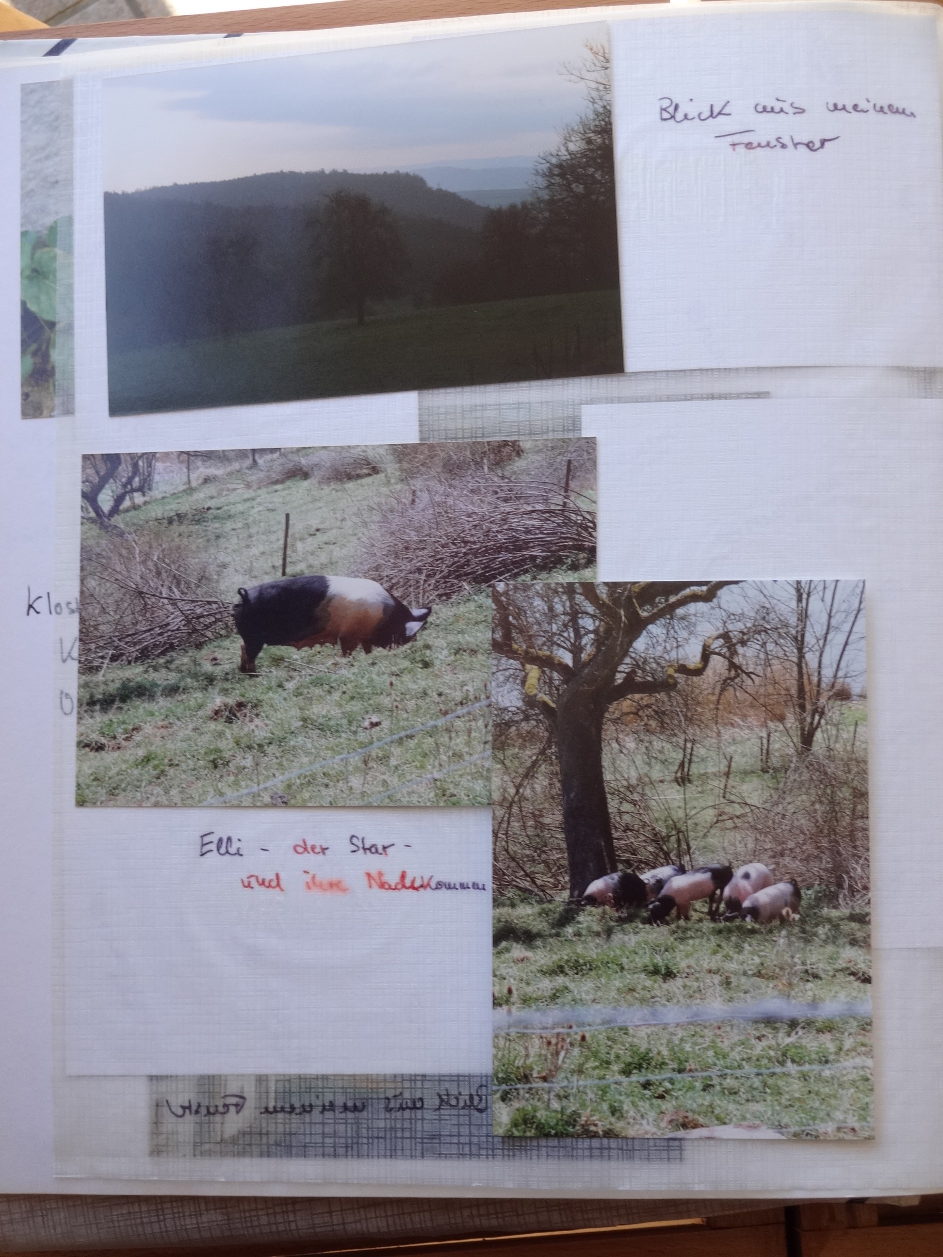 1992_120___von_Ordner___1993_1997