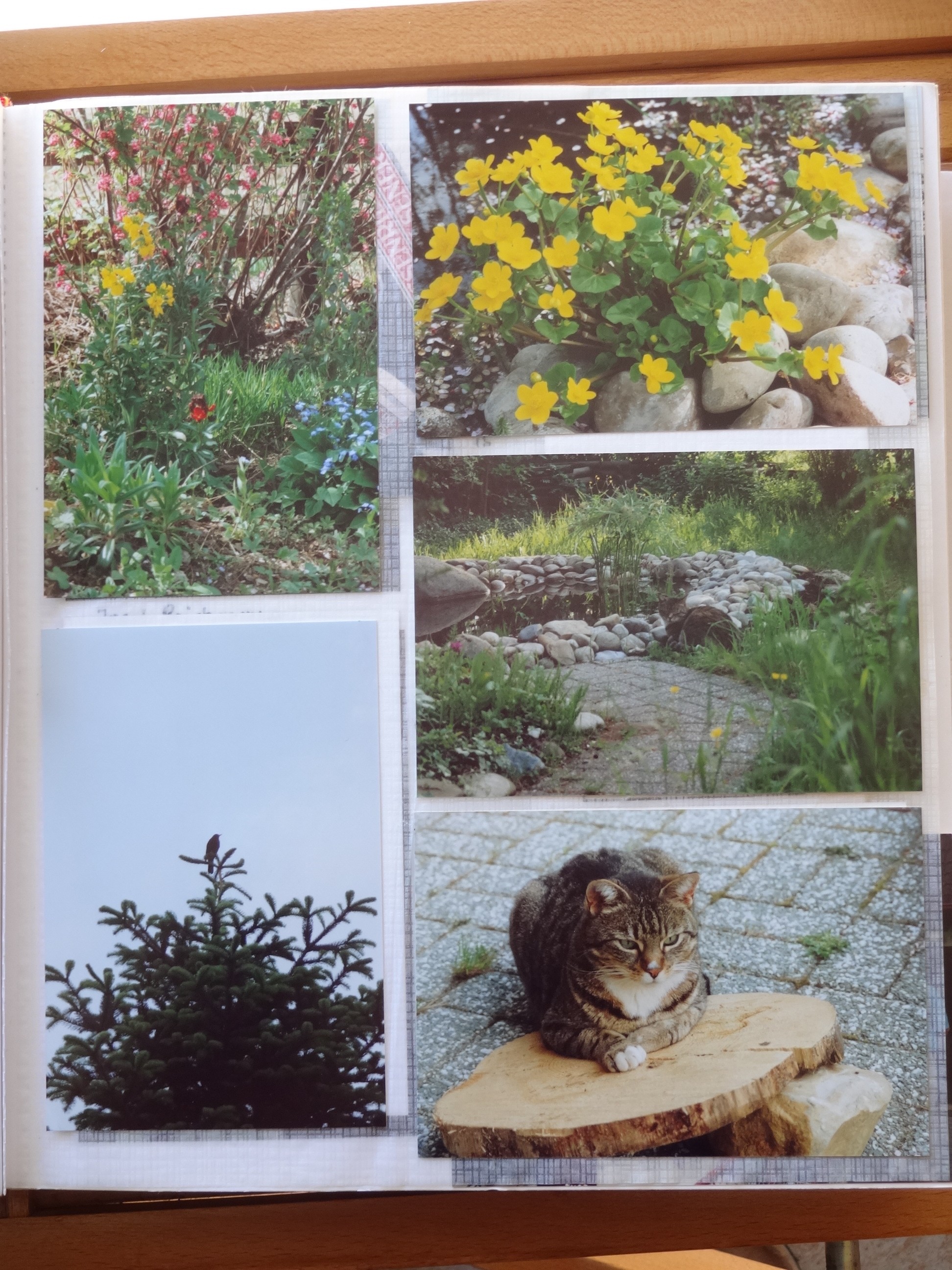 1992_230___von_Ordner___1993_1997