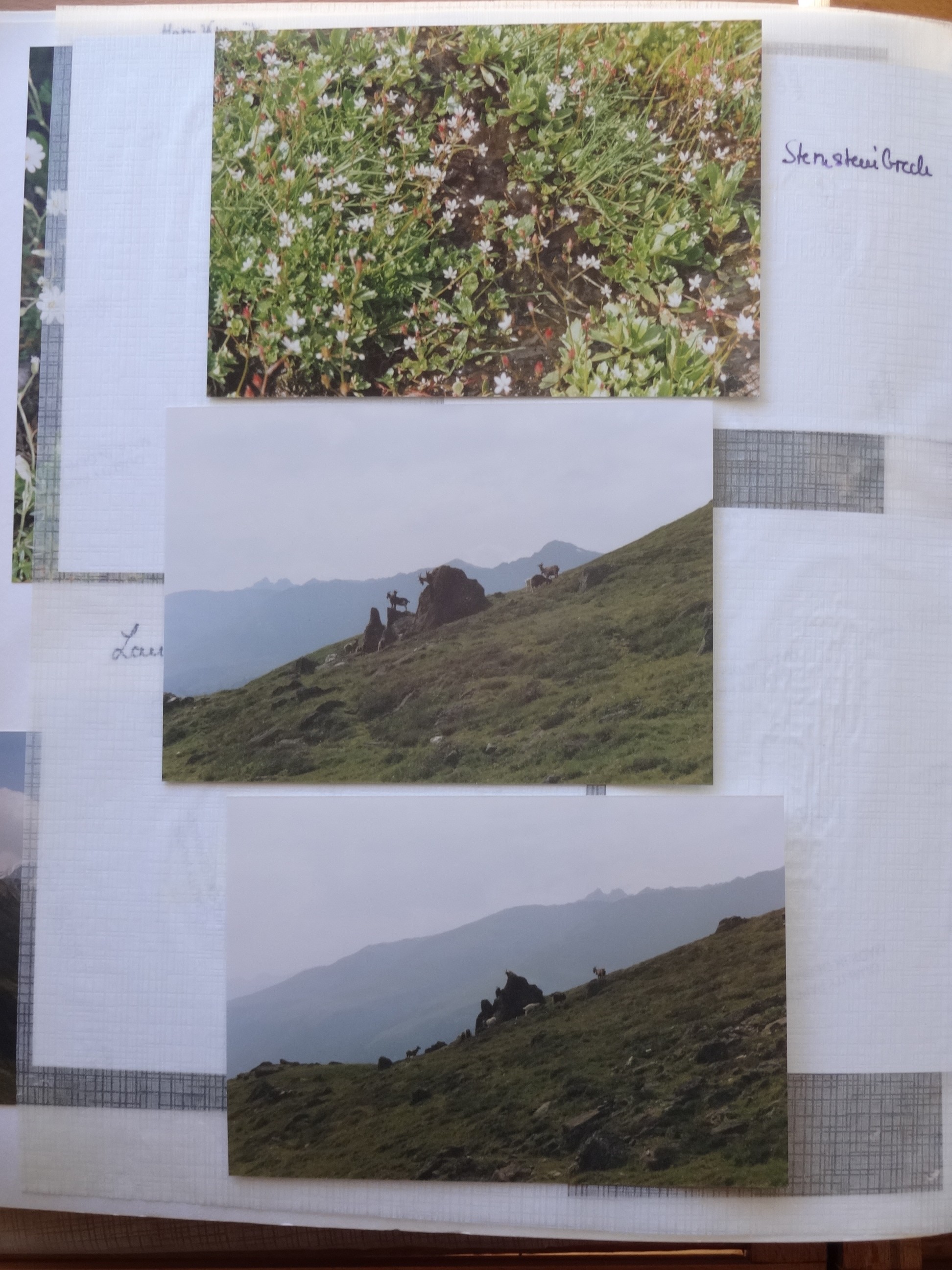 1992_430___von_Ordner___1993_1997