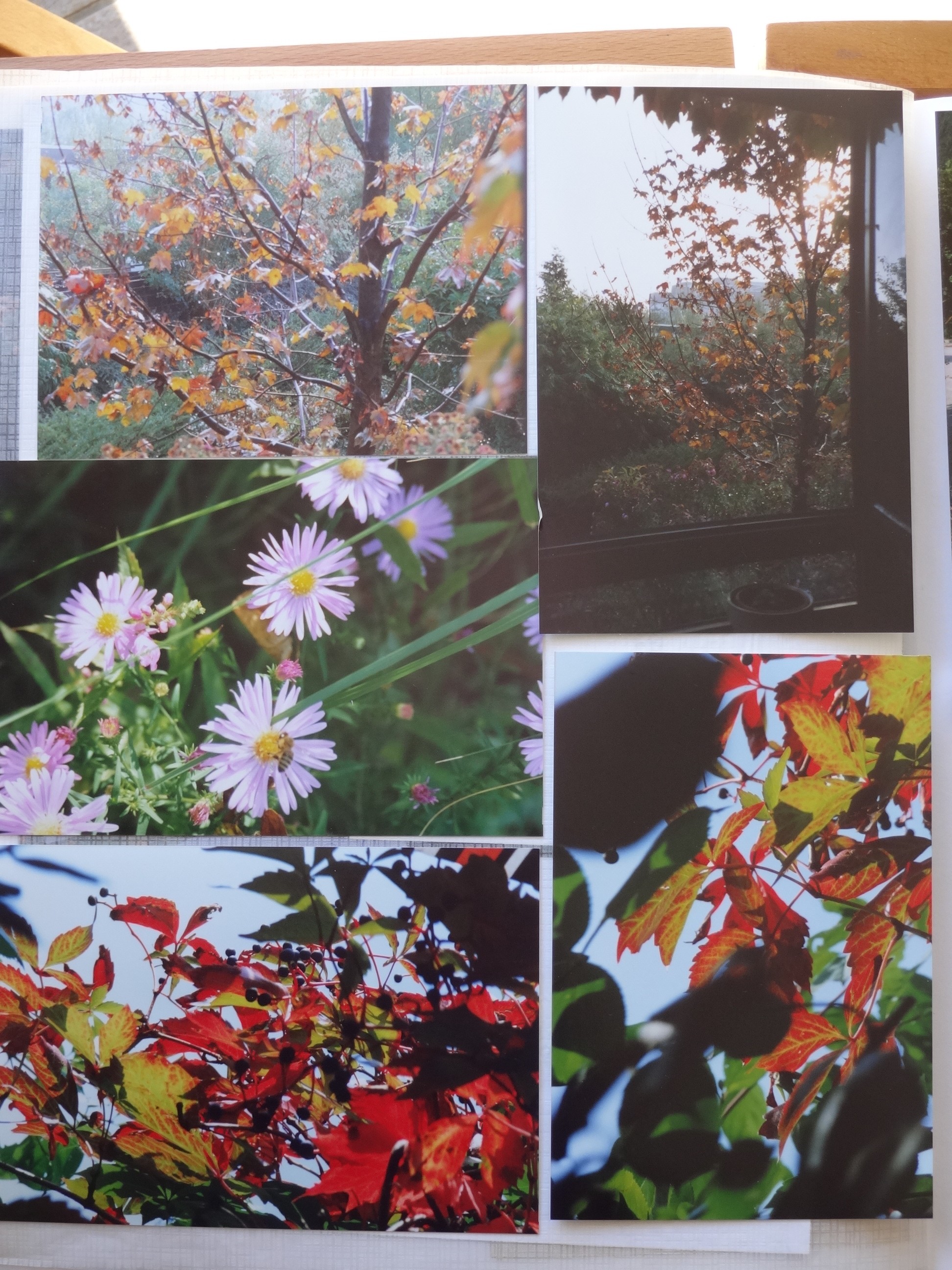 1992_540___von_Ordner___1993_1997