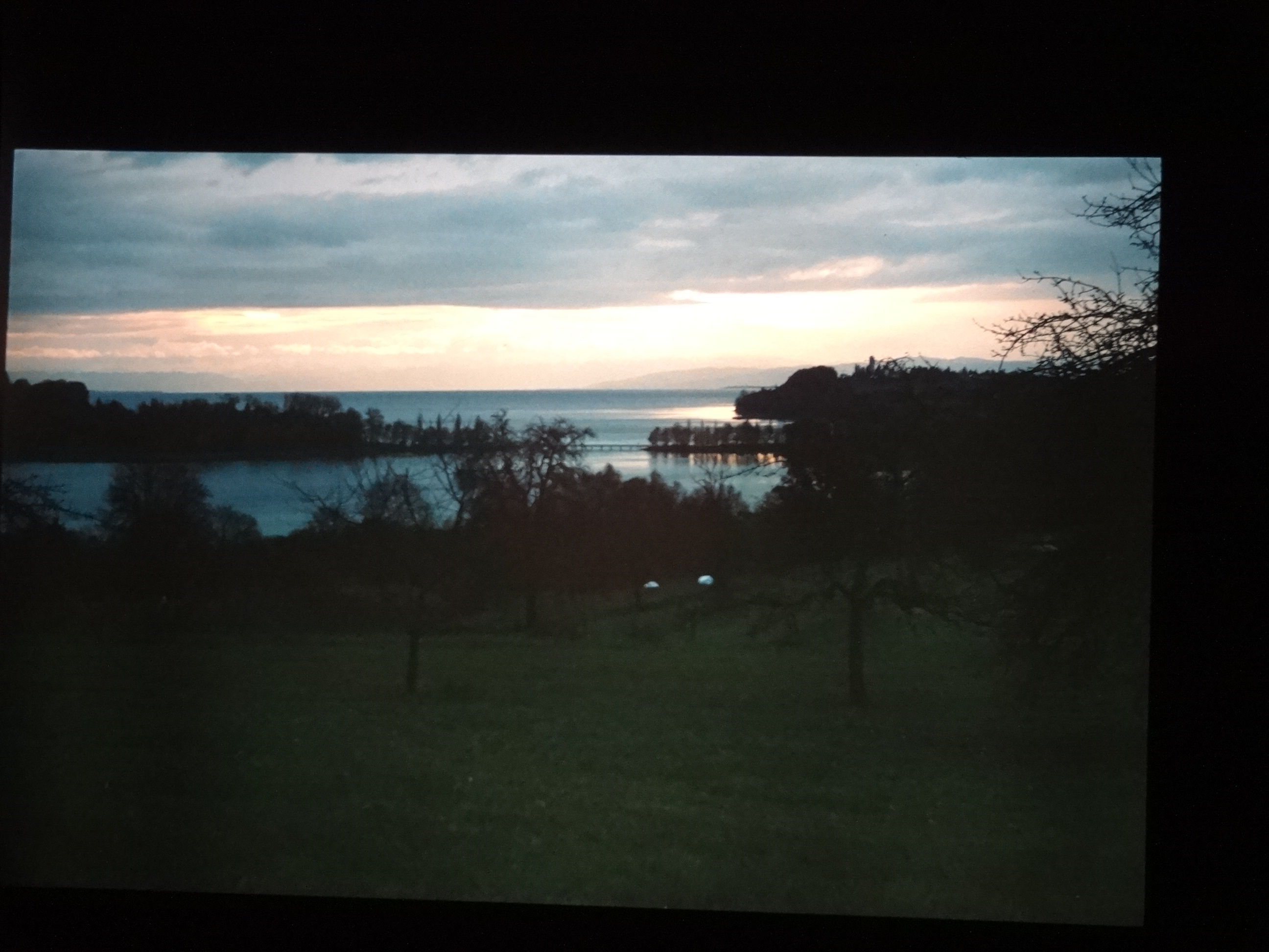 1992_bodensee030___von_Ordner___1992_dias_50ergeburtstag_bodens_Kauns_langtauferer