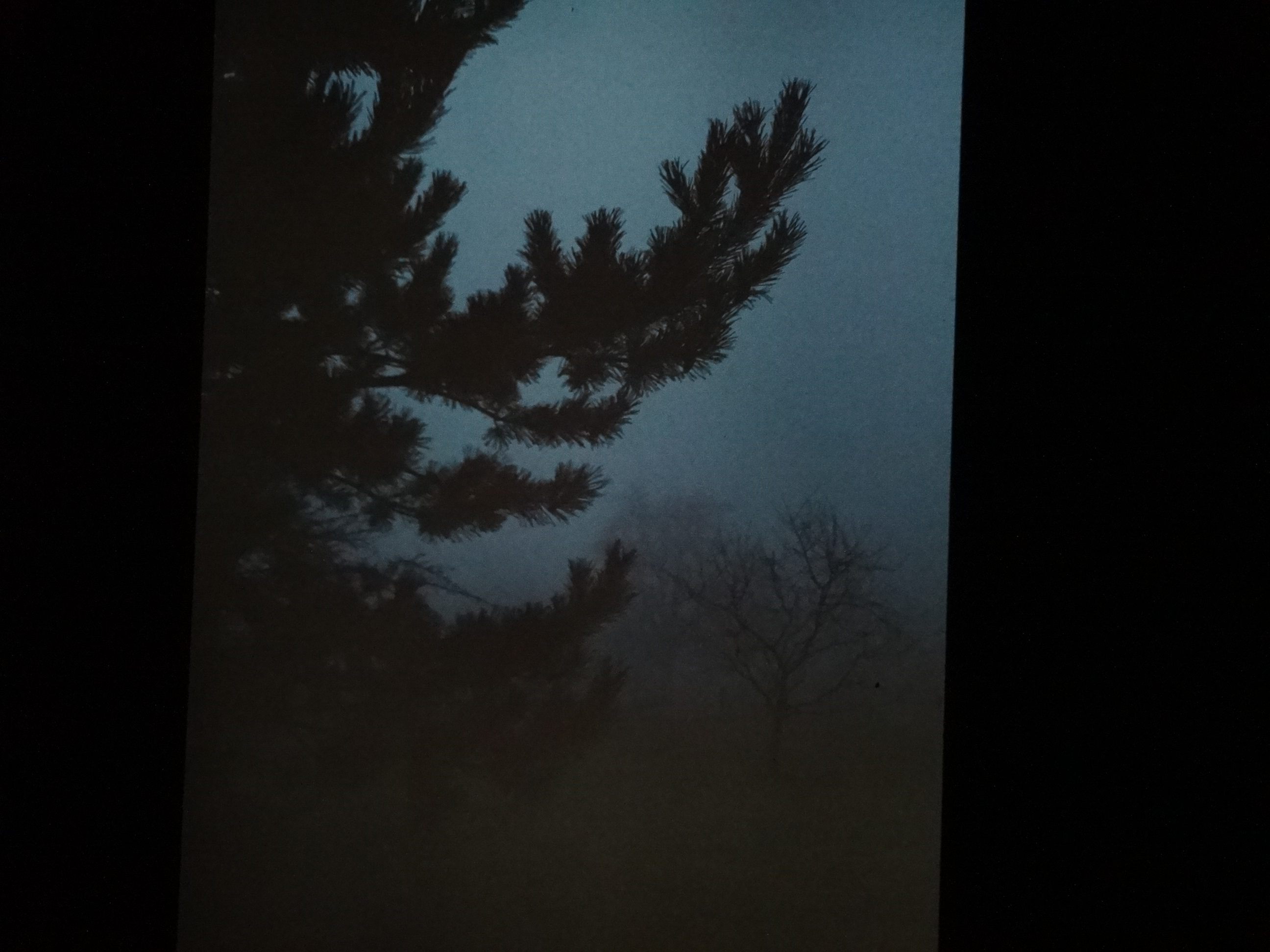 1992_bodensee090___von_Ordner___1992_dias_50ergeburtstag_bodens_Kauns_langtauferer