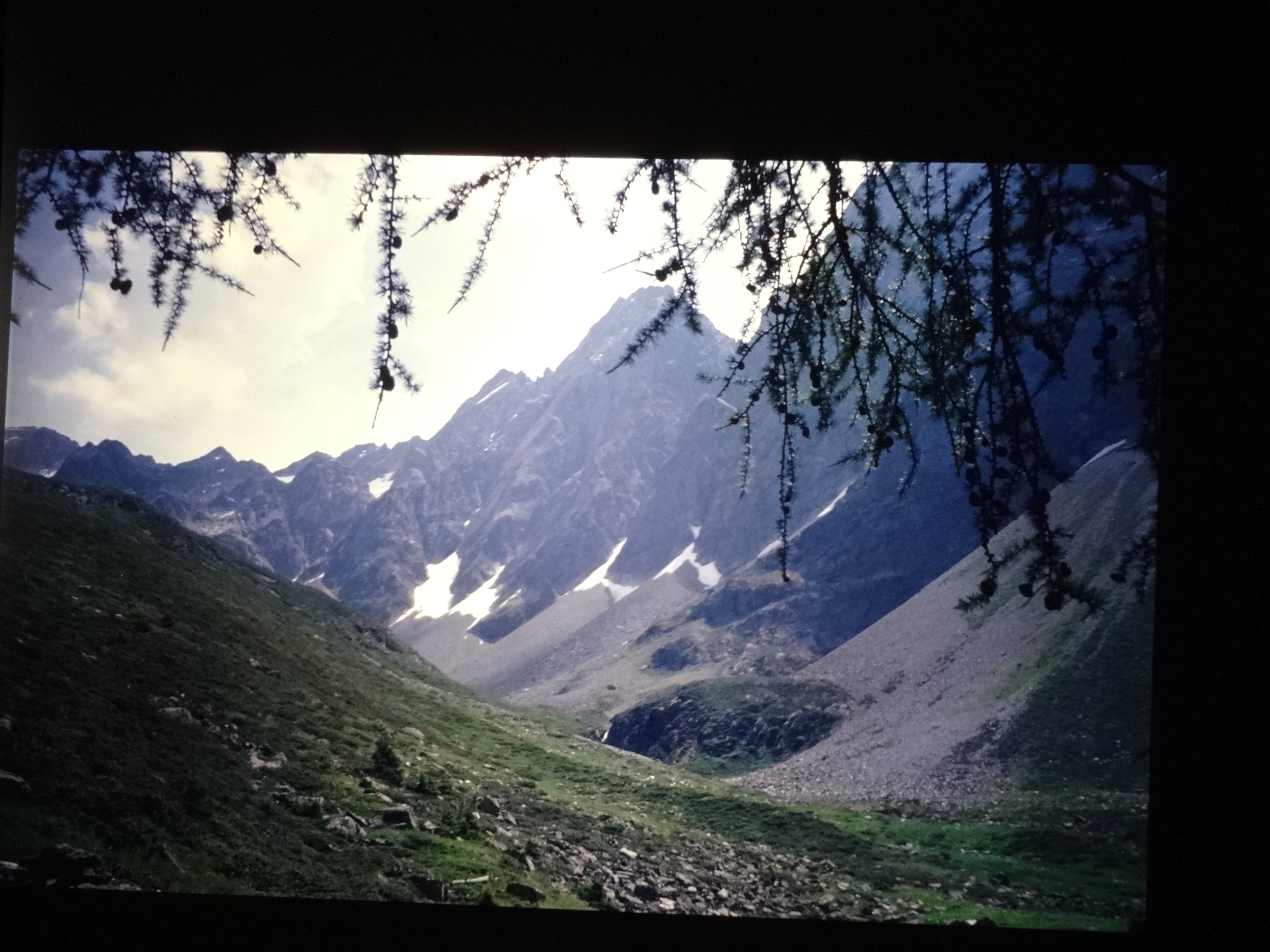 1992_langtaufener_tal130___von_Ordner___1992_dias_50ergeburtstag_bodens_Kauns_langtauferer