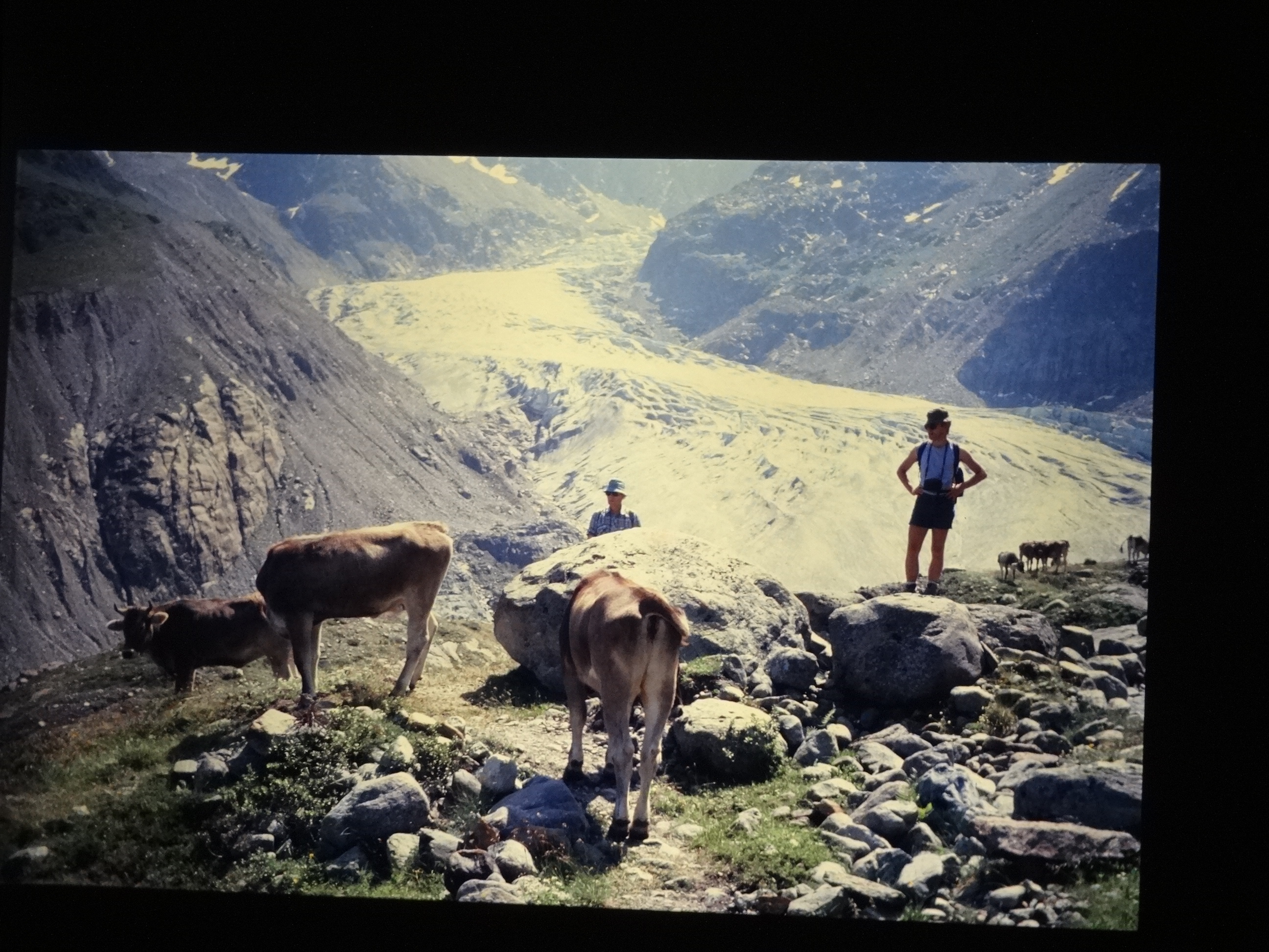 1992_langtaufener_tal140___von_Ordner___1992_dias_50ergeburtstag_bodens_Kauns_langtauferer