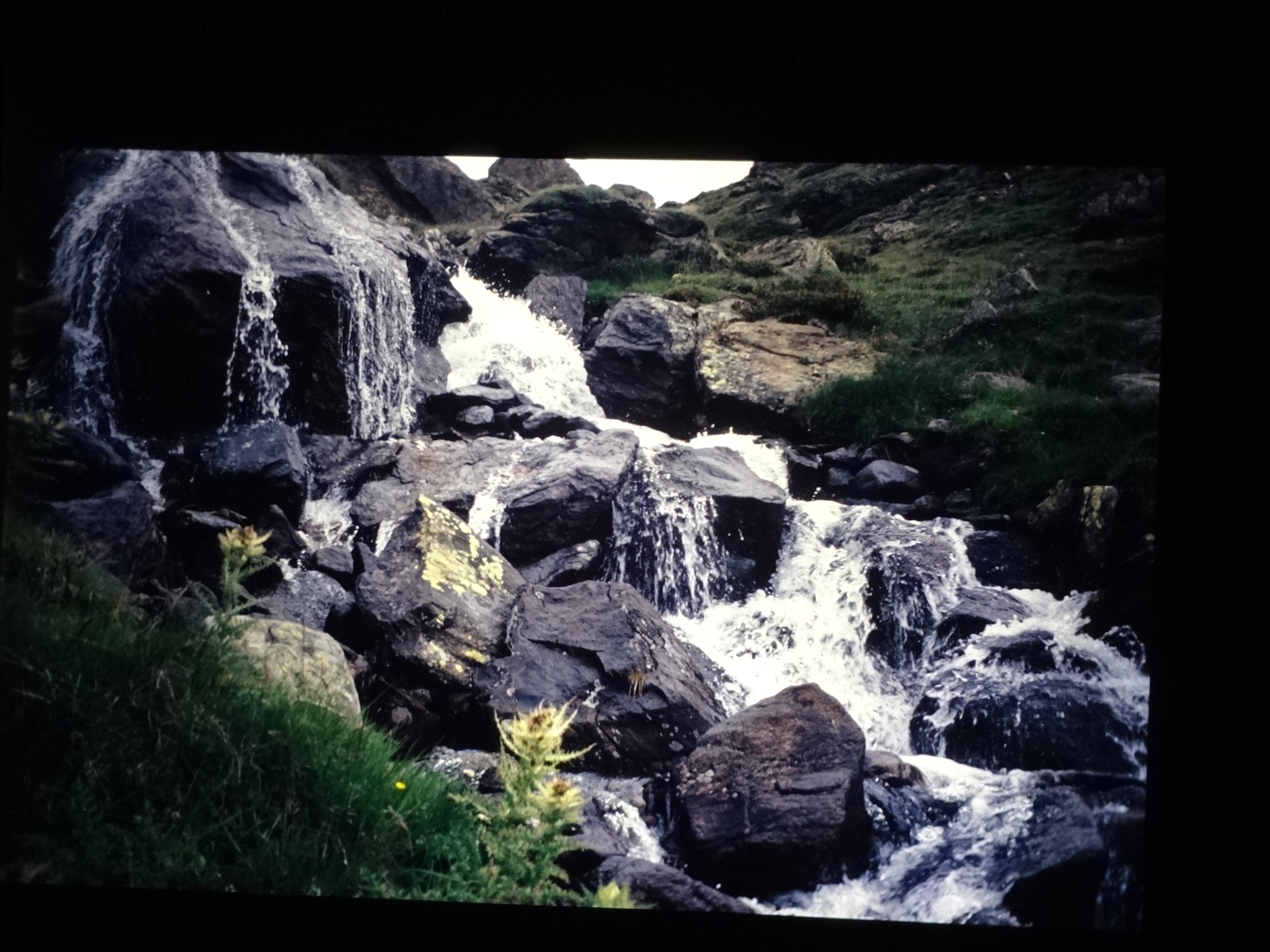 1992_langtaufener_tal280___von_Ordner___1992_dias_50ergeburtstag_bodens_Kauns_langtauferer