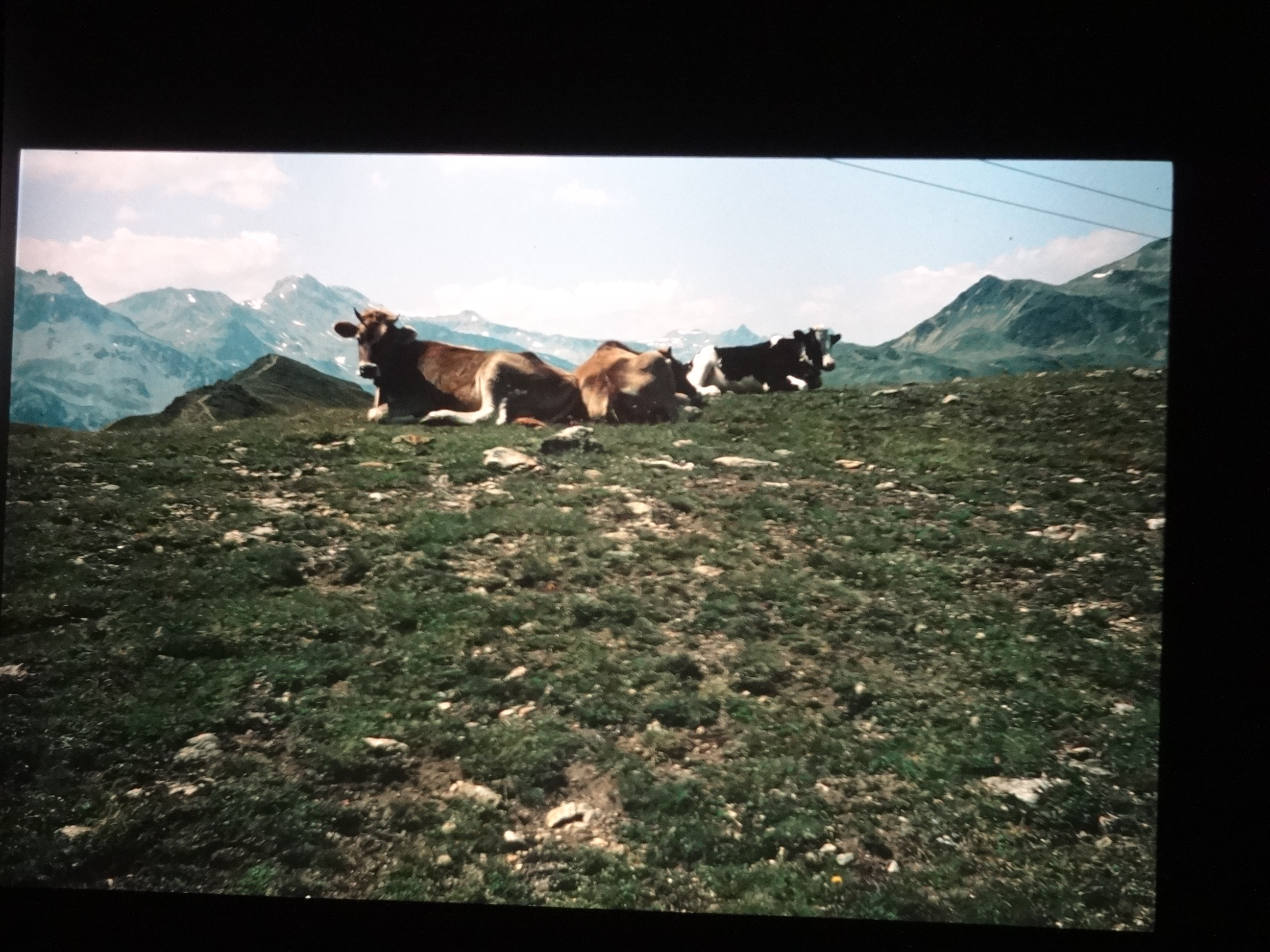 1992_langtaufener_tal430___von_Ordner___1992_dias_50ergeburtstag_bodens_Kauns_langtauferer
