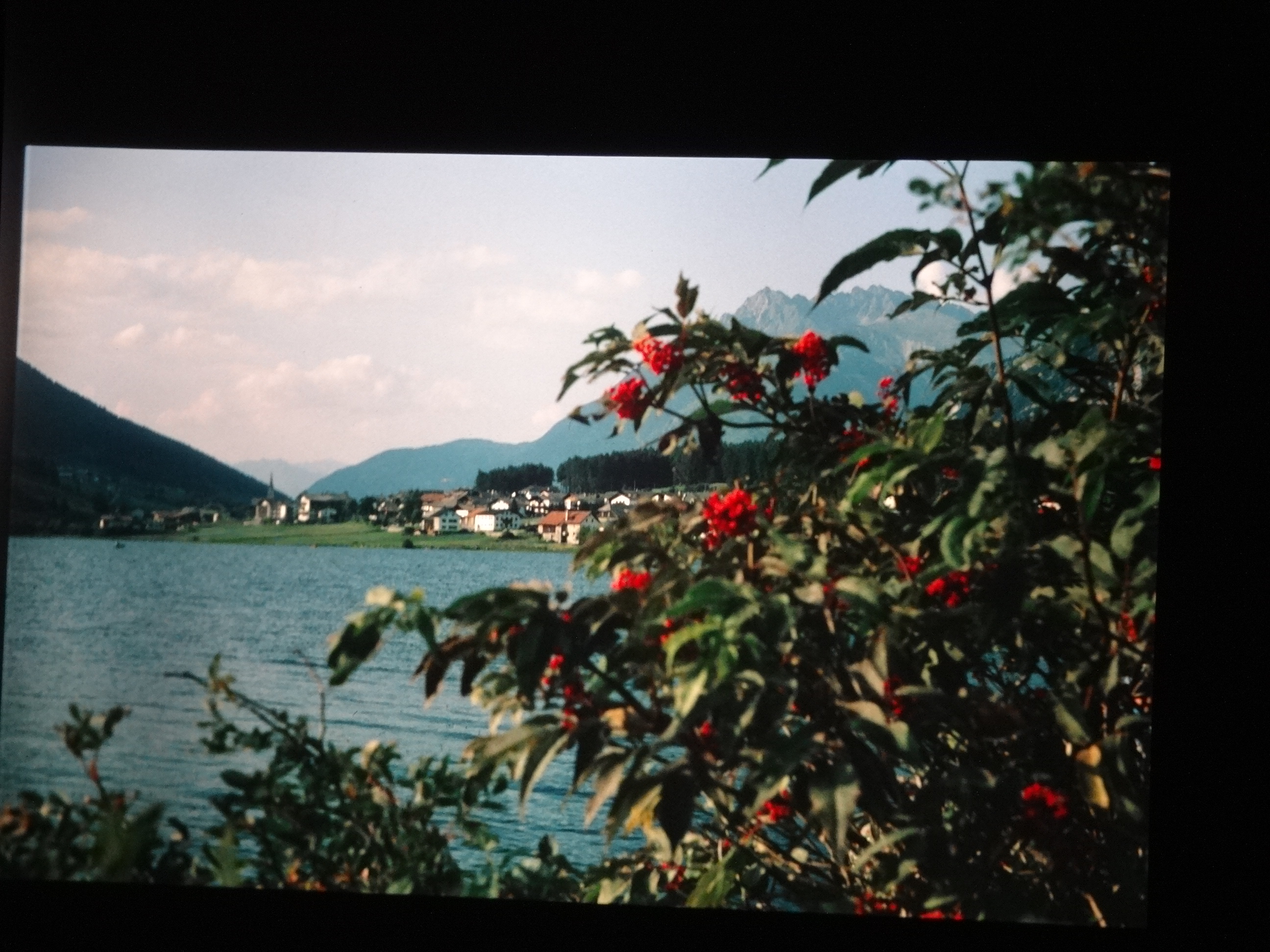 1992_langtaufener_tal480___von_Ordner___1992_dias_50ergeburtstag_bodens_Kauns_langtauferer