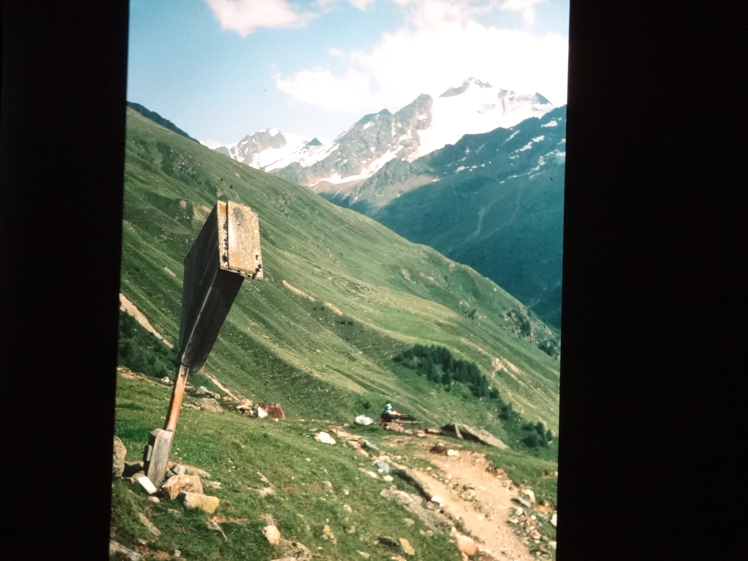 1992_langtaufener_tal540___von_Ordner___1992_dias_50ergeburtstag_bodens_Kauns_langtauferer
