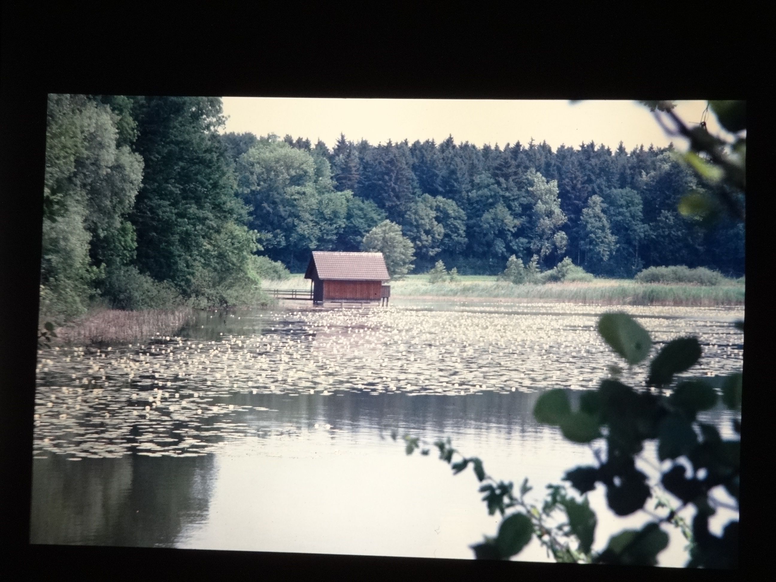 1992_pfingsten_bodensee010___von_Ordner___1992_dias_50ergeburtstag_bodens_Kauns_langtauferer