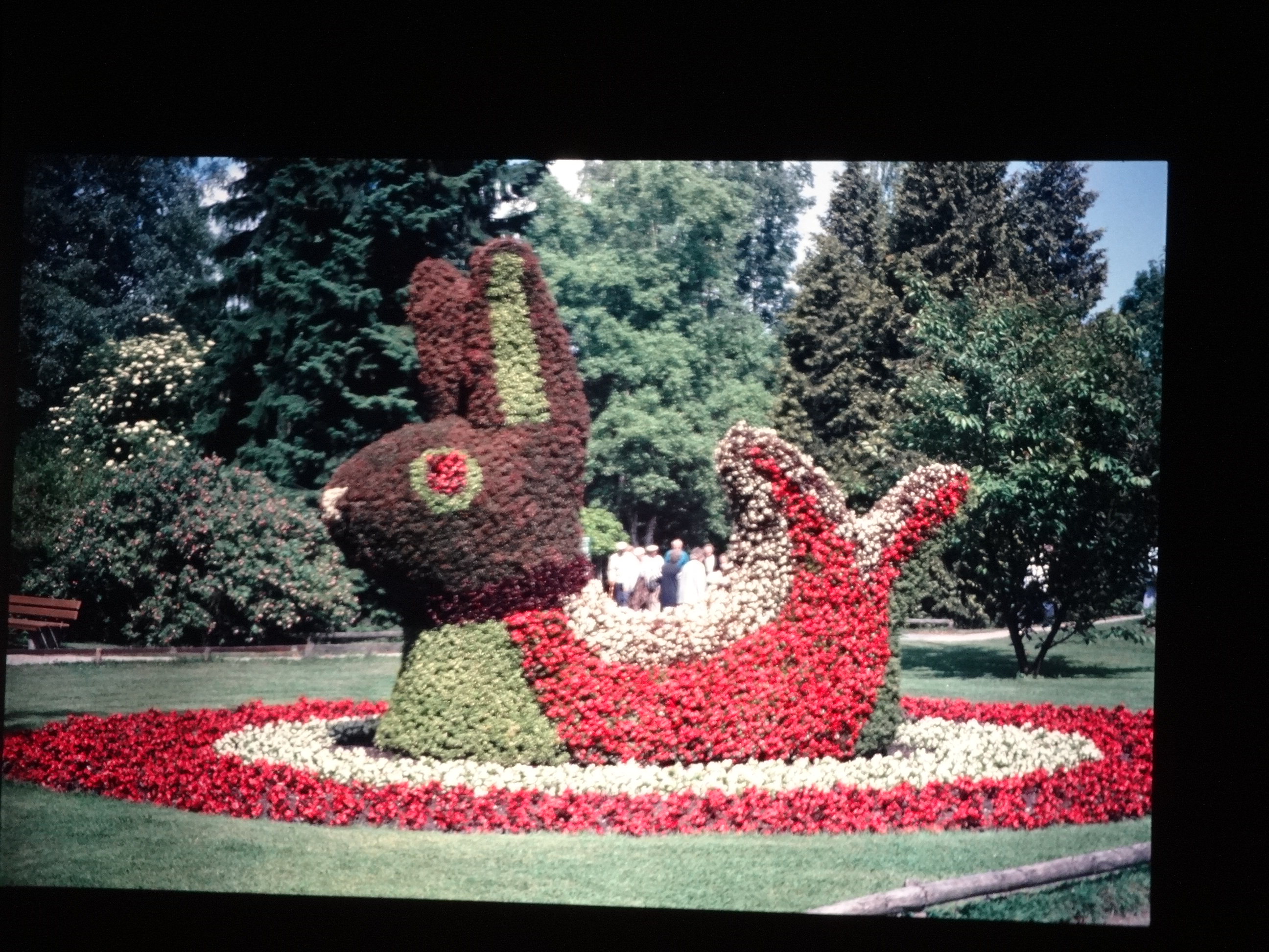 1992_pfingsten_bodensee070___von_Ordner___1992_dias_50ergeburtstag_bodens_Kauns_langtauferer