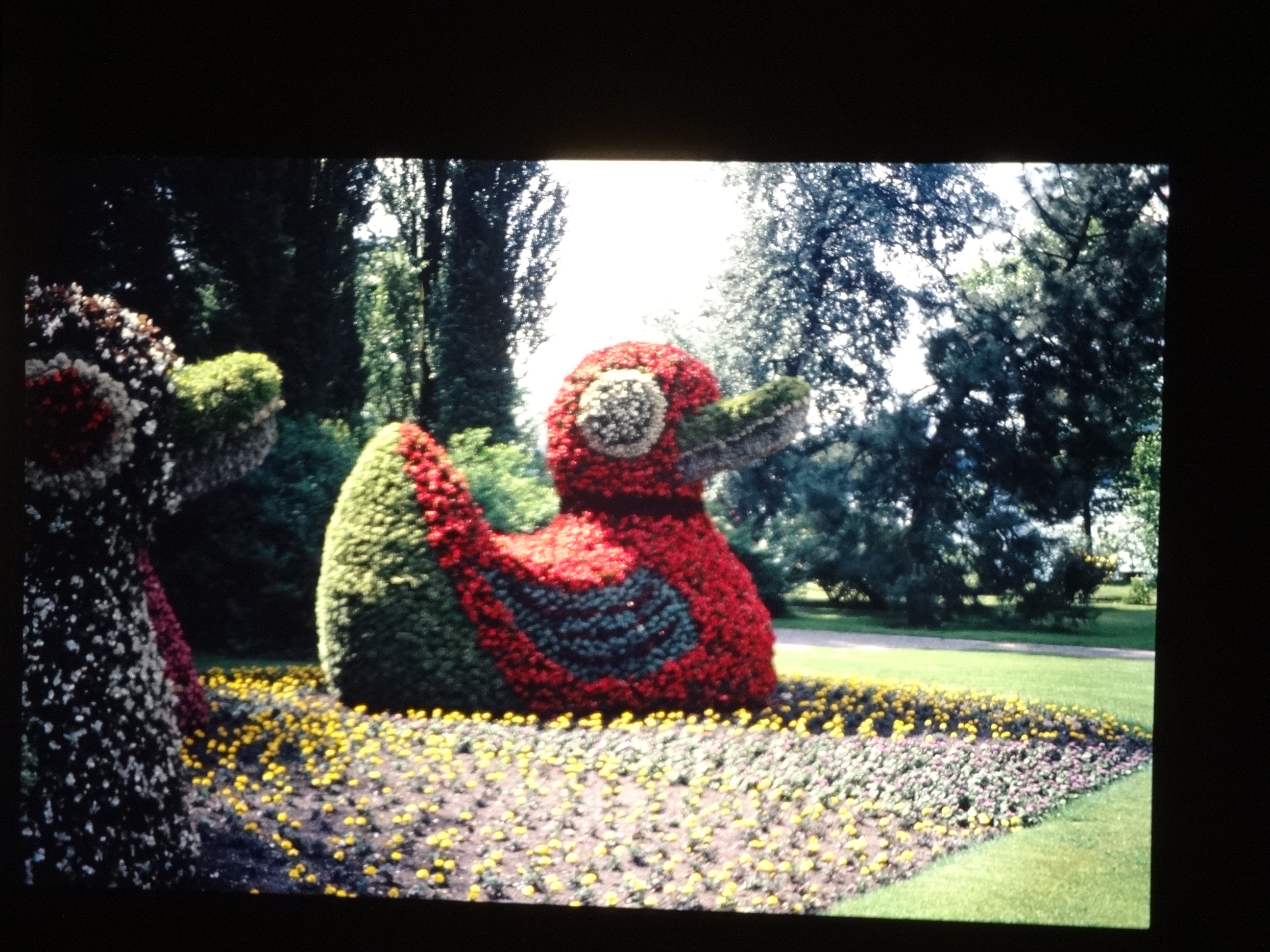 1992_pfingsten_bodensee080___von_Ordner___1992_dias_50ergeburtstag_bodens_Kauns_langtauferer