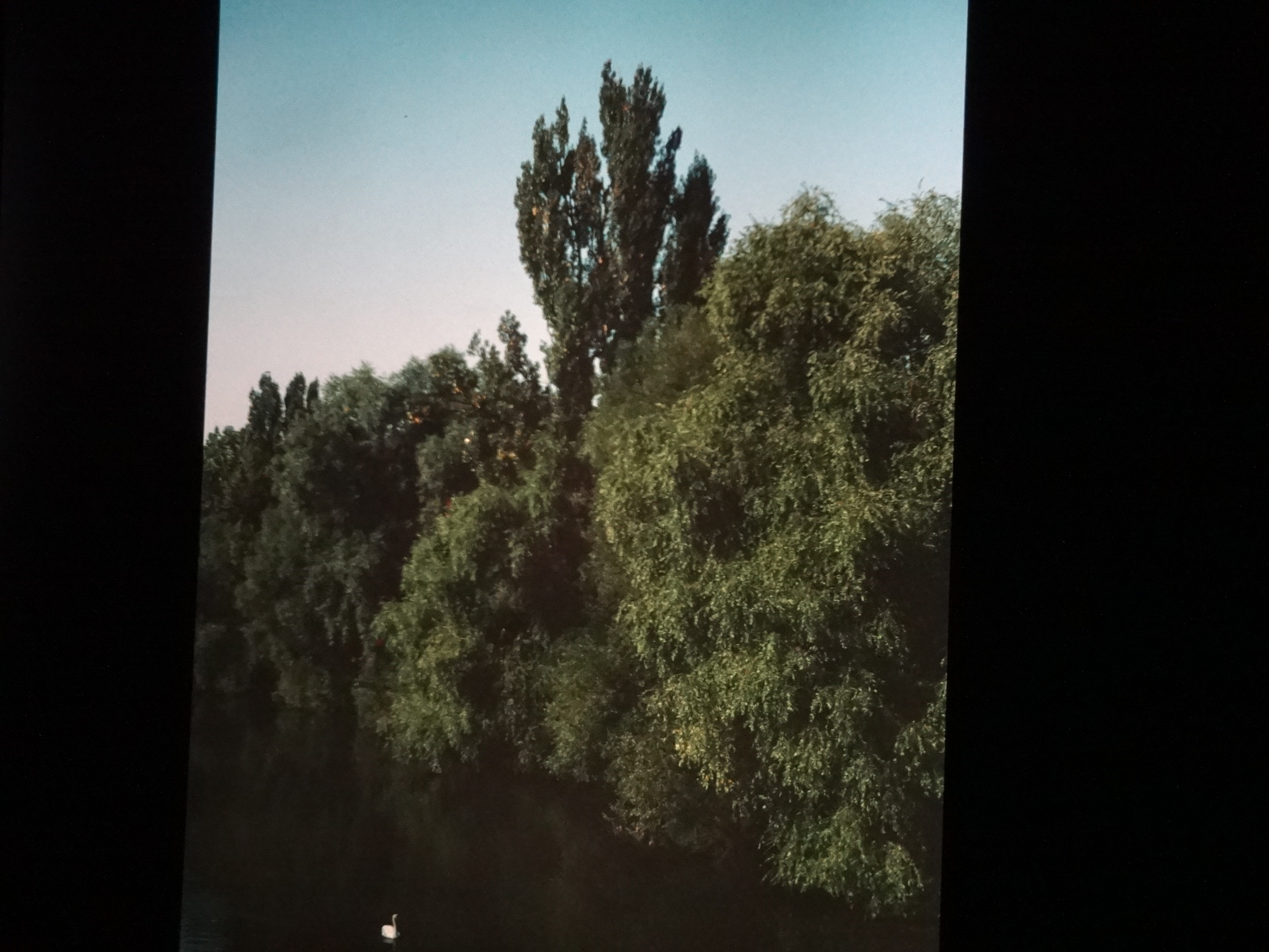 1992_rottenburg40___von_Ordner___1992_dias_50ergeburtstag_bodens_Kauns_langtauferer