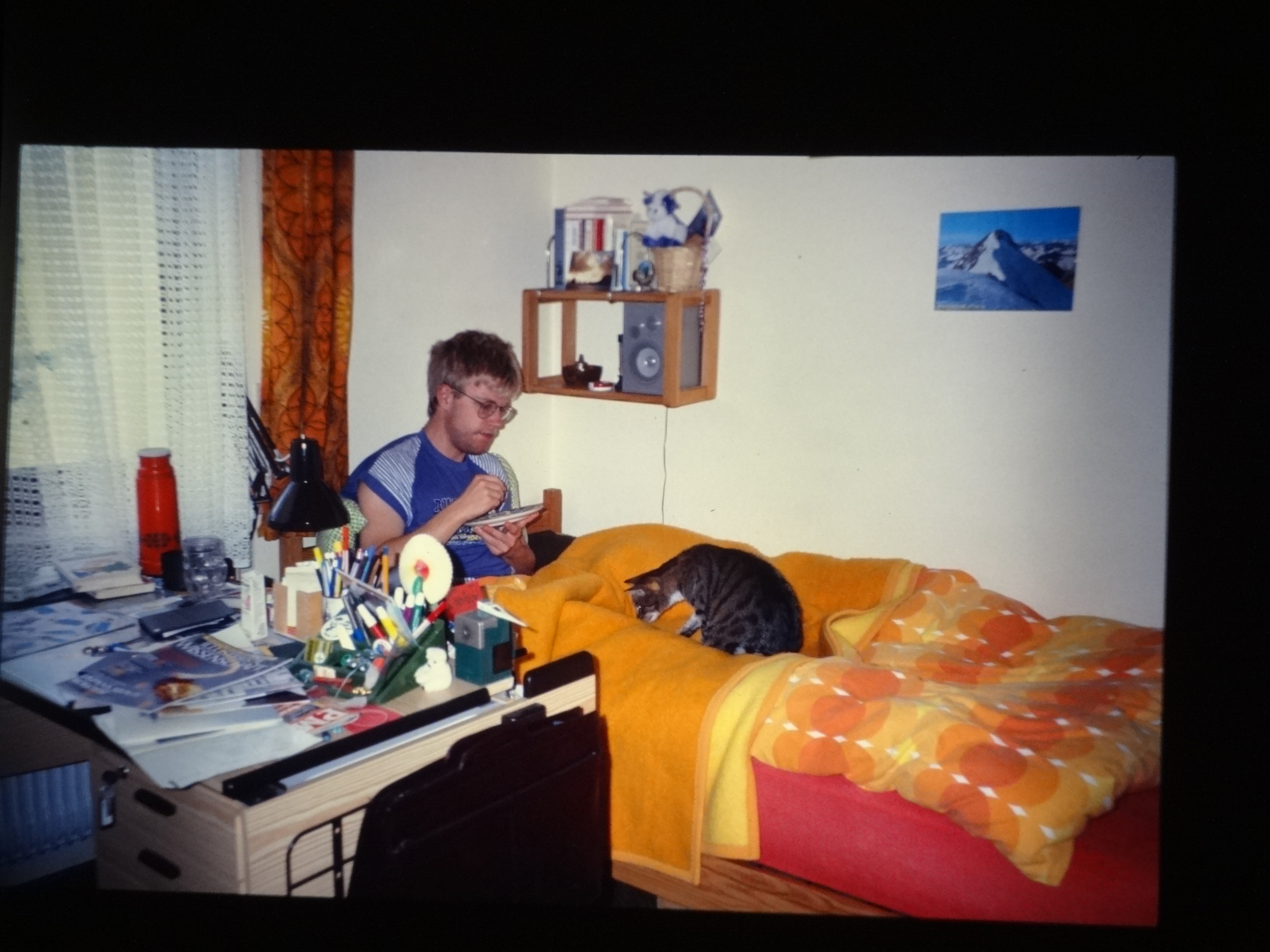 1992_thomas_katze10___von_Ordner___1992_dias_50ergeburtstag_bodens_Kauns_langtauferer