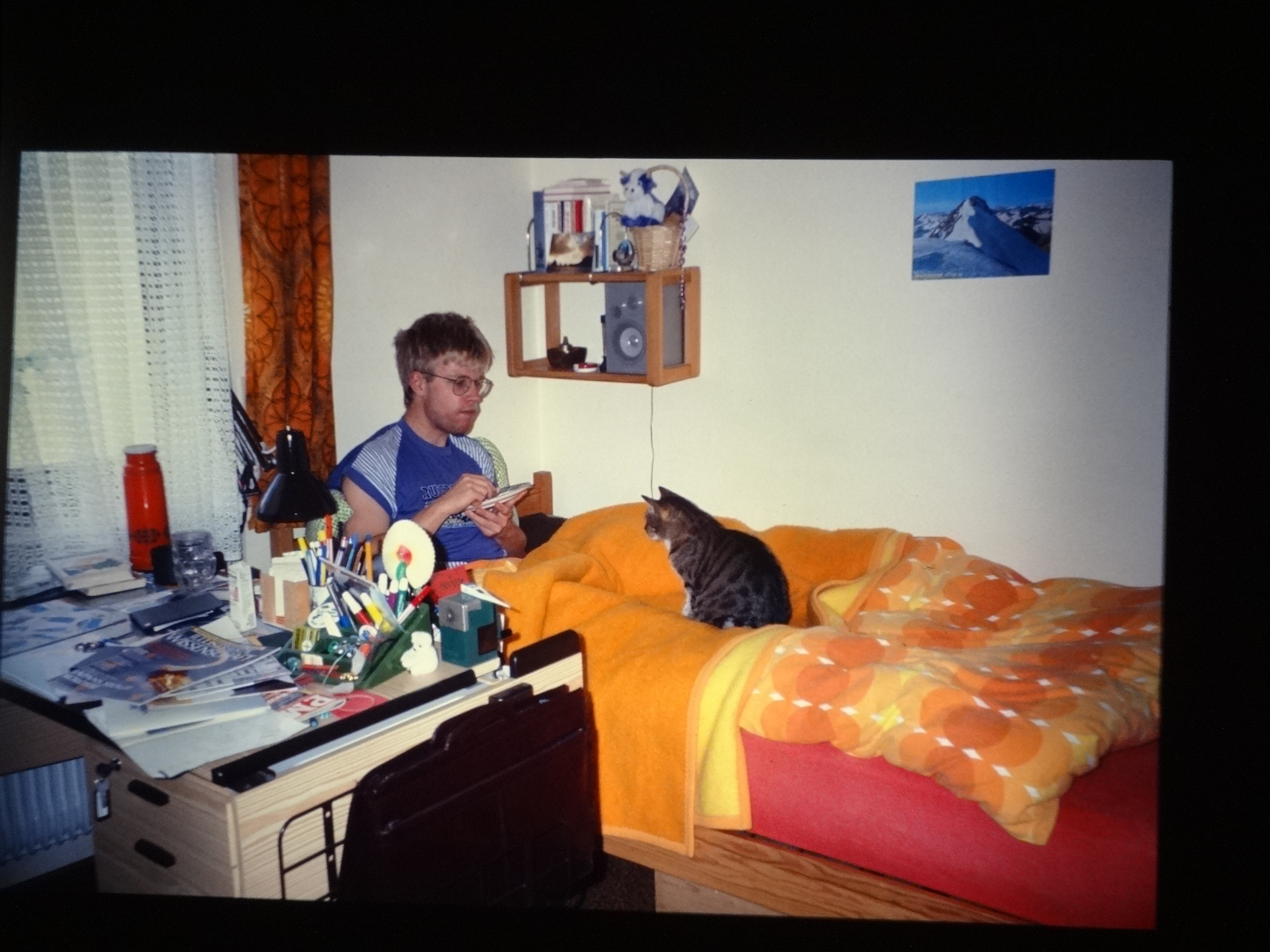 1992_thomas_katze20___von_Ordner___1992_dias_50ergeburtstag_bodens_Kauns_langtauferer