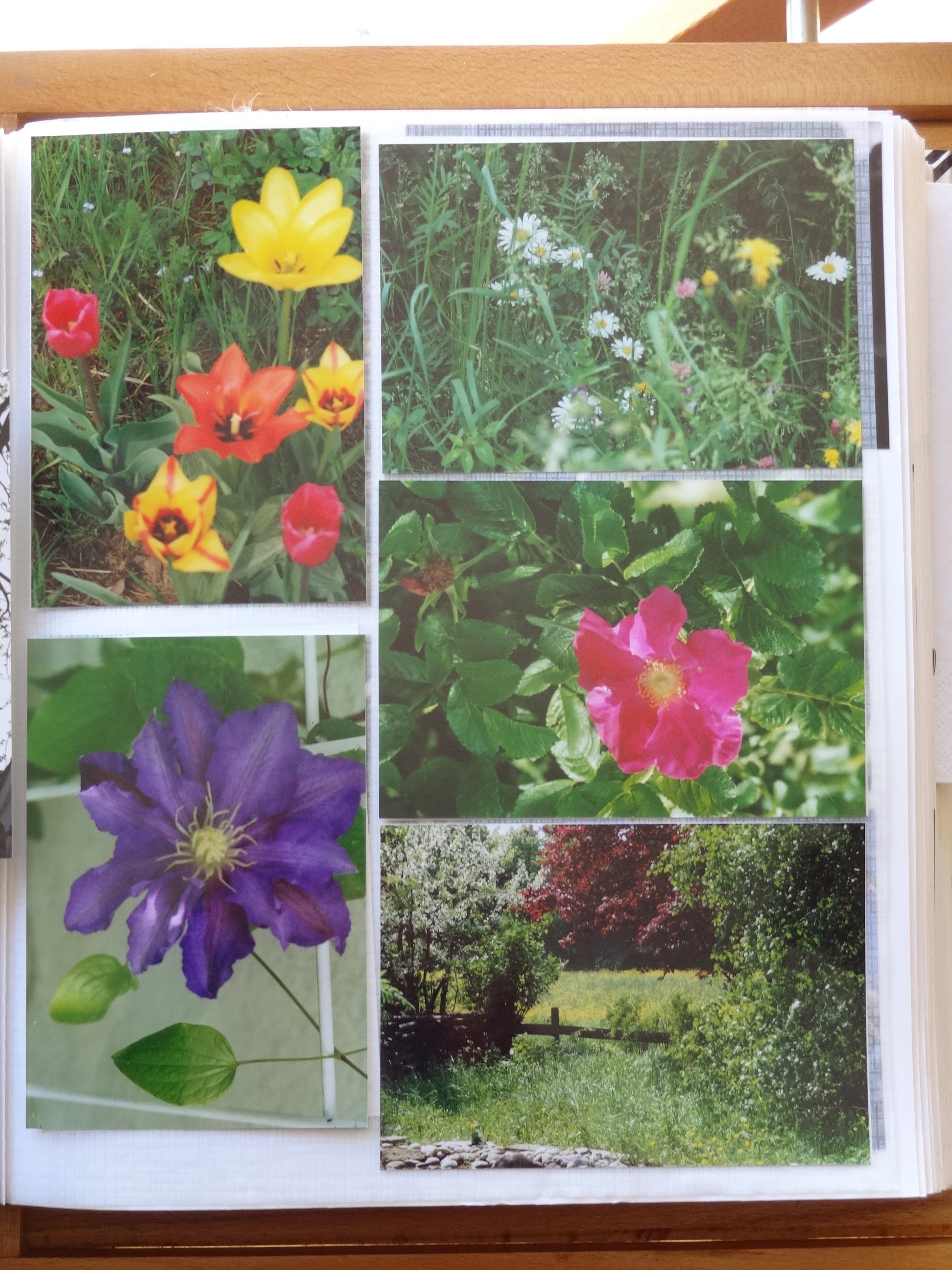 1993_120___von_Ordner___1993_1997