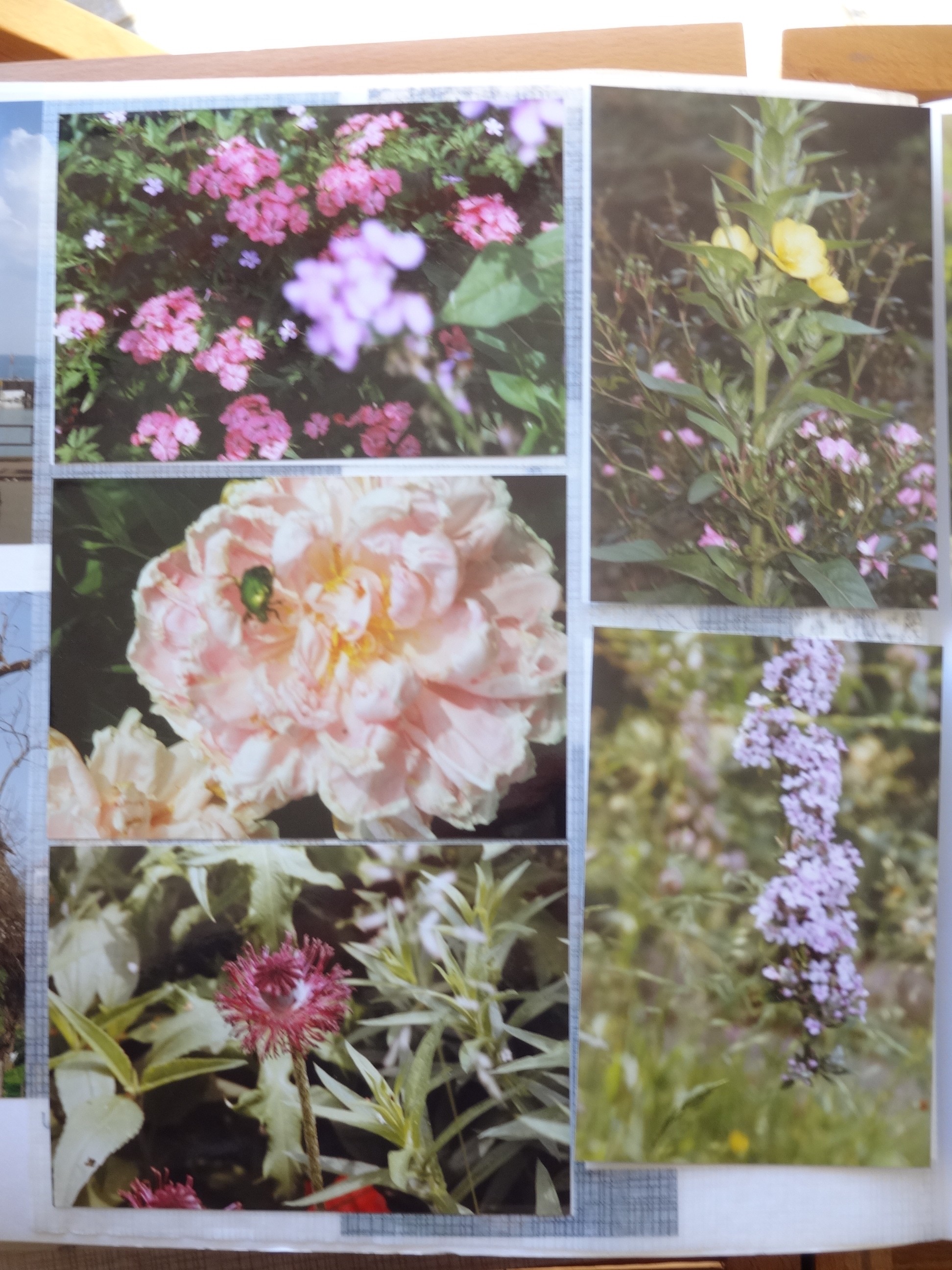 1993_130___von_Ordner___1993_1997